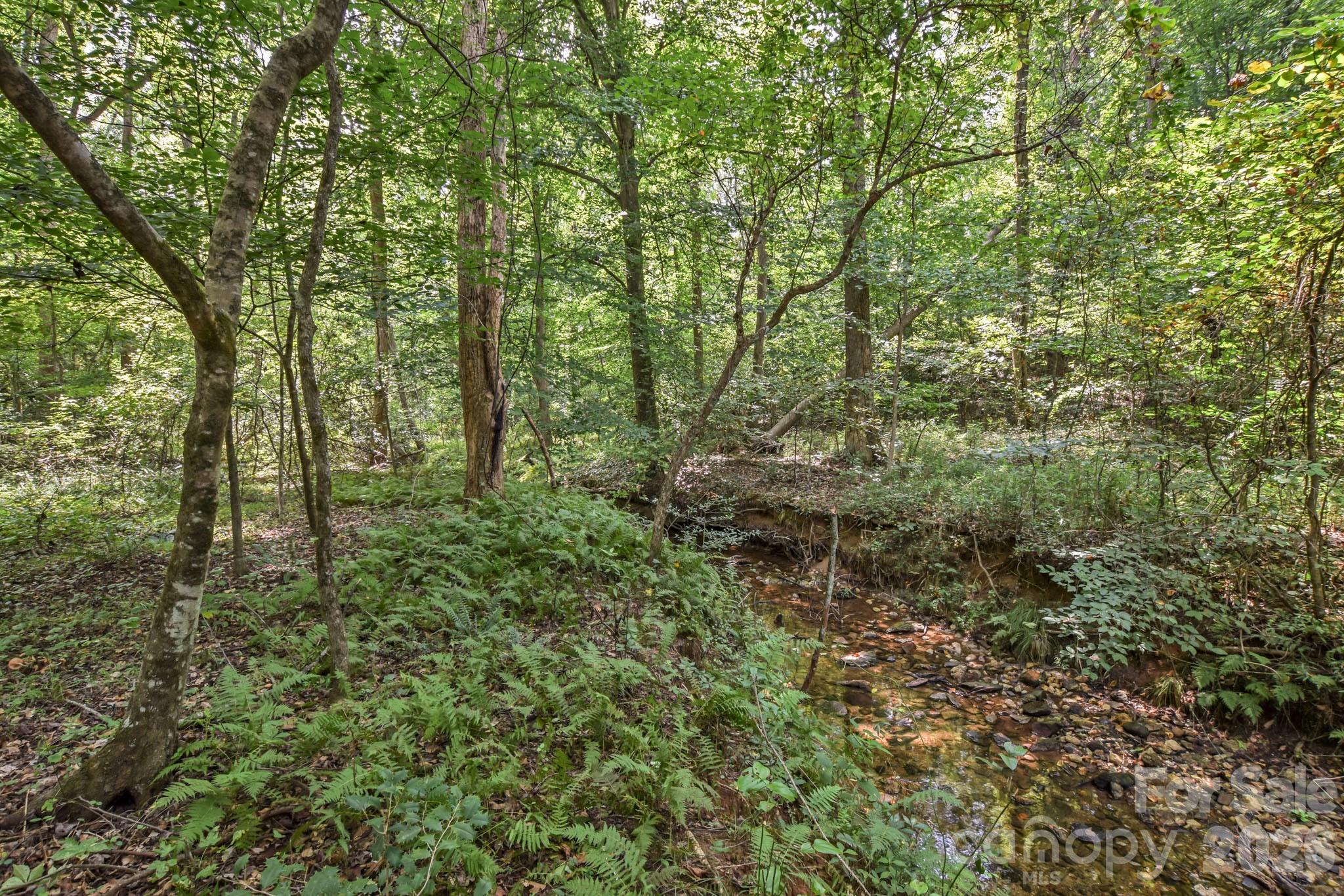 Acreage at 99999 Lail Road, Rutherfordton, photo 11 of 15