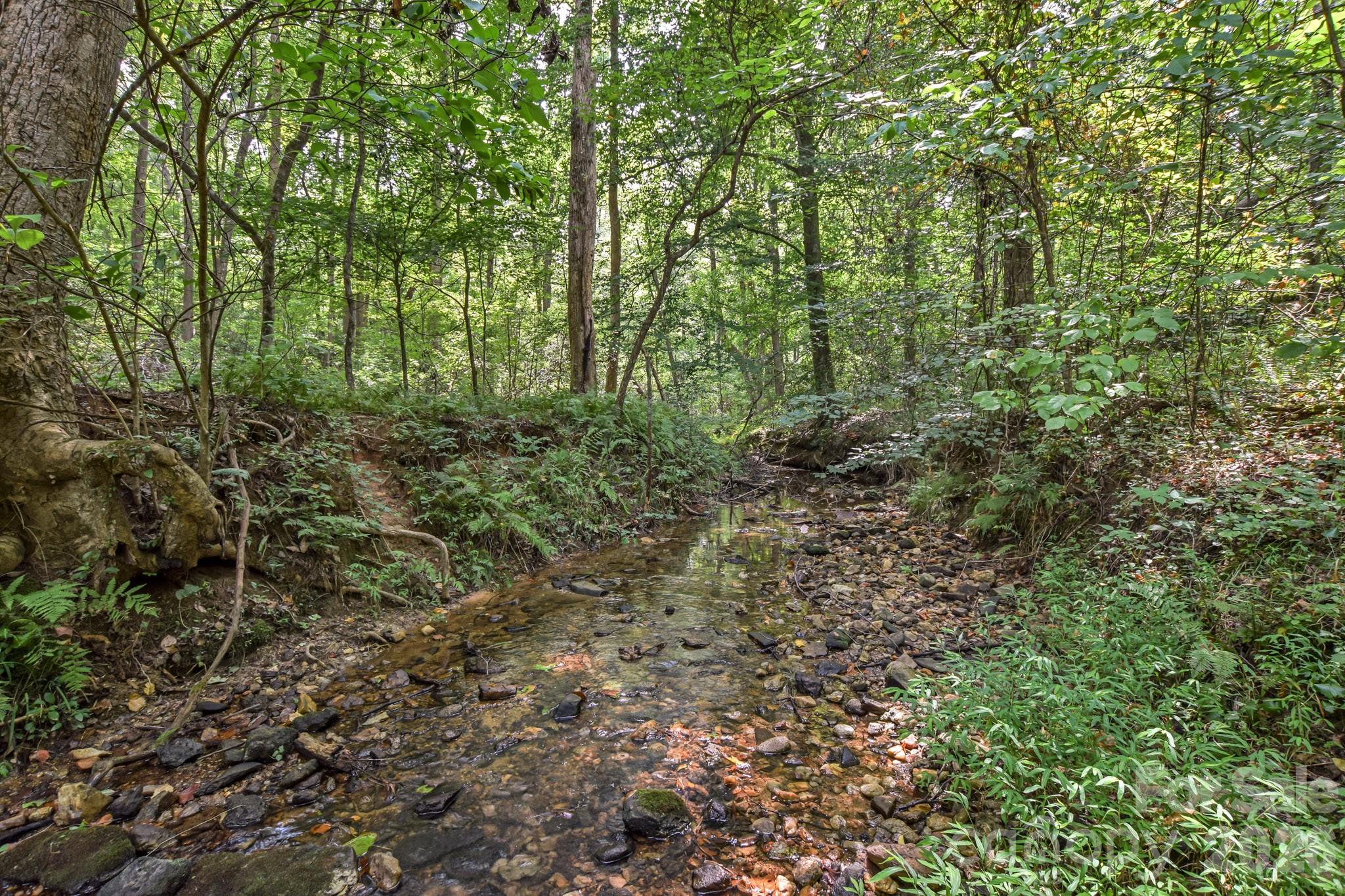 Acreage at 99999 Lail Road, Rutherfordton, photo 12 of 15