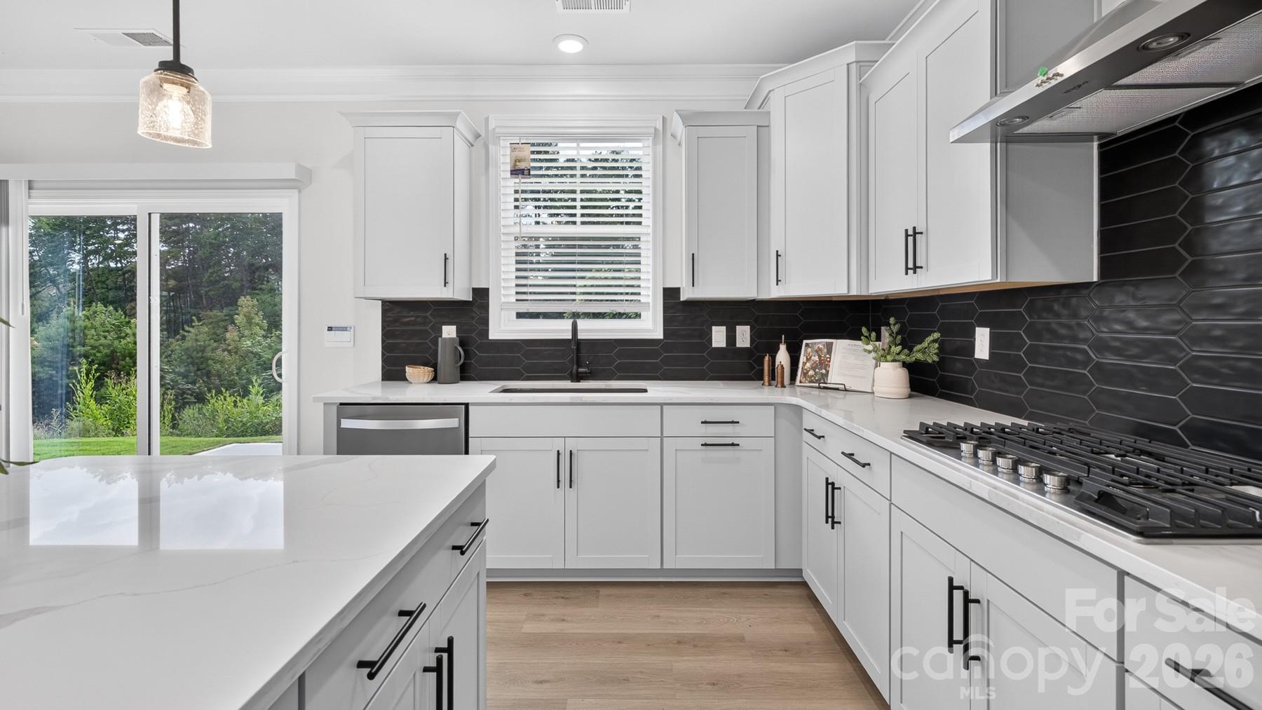 Single Family Residence at 5039 Blue Serenity Court, Denver, photo 19 of 44