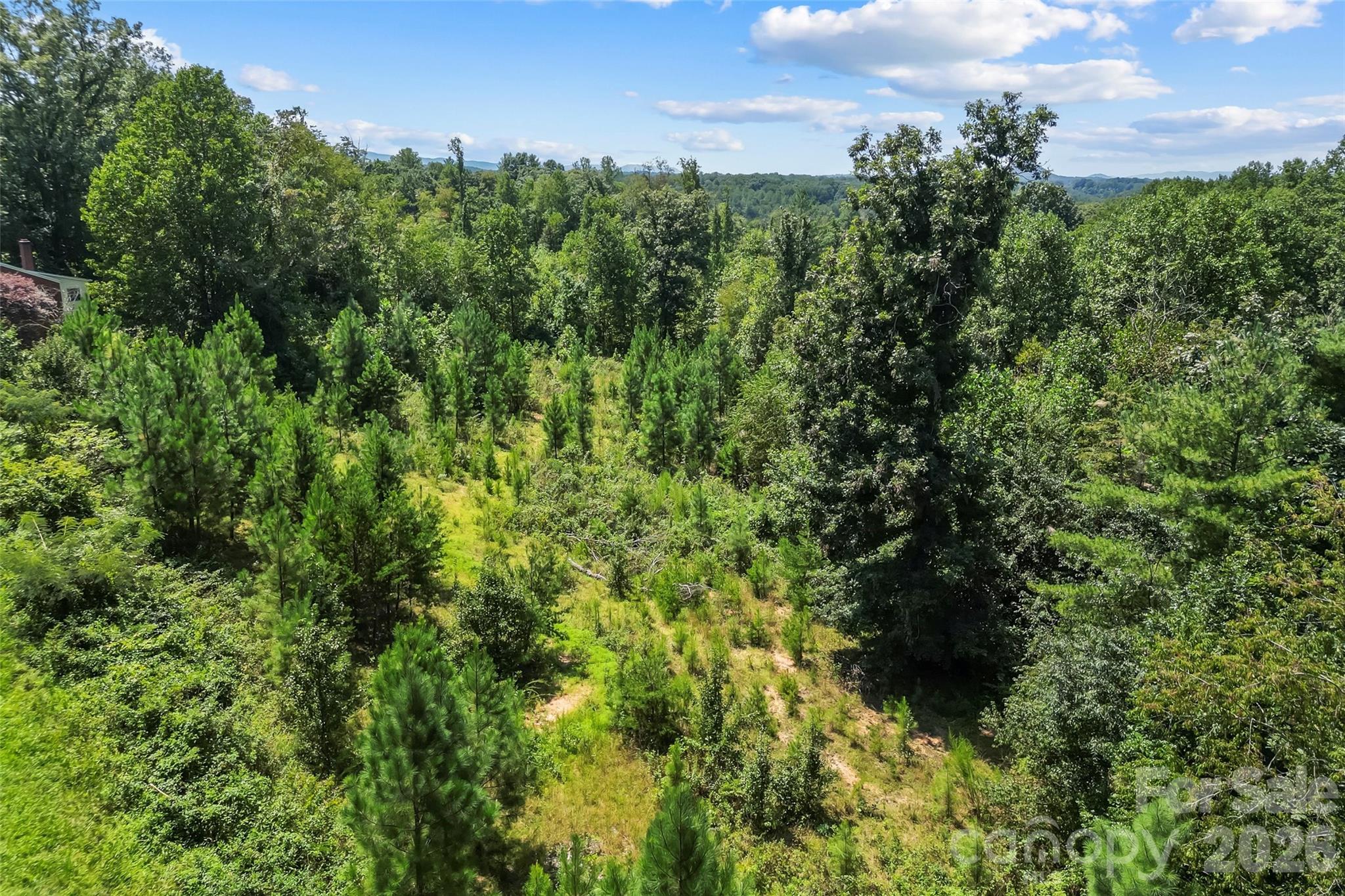 Acreage at 0 Lincoln Heights Road, Wilkesboro, photo 9 of 11