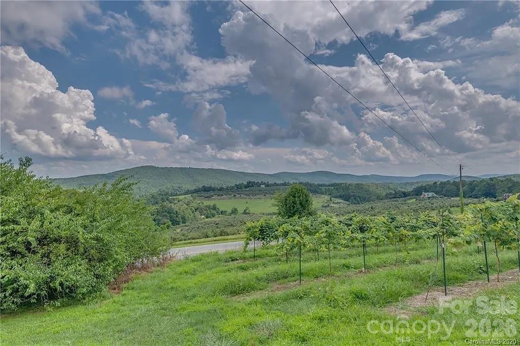 Single Family Residence at 1324 Low Gap Road, Hendersonville, photo 12 of 15