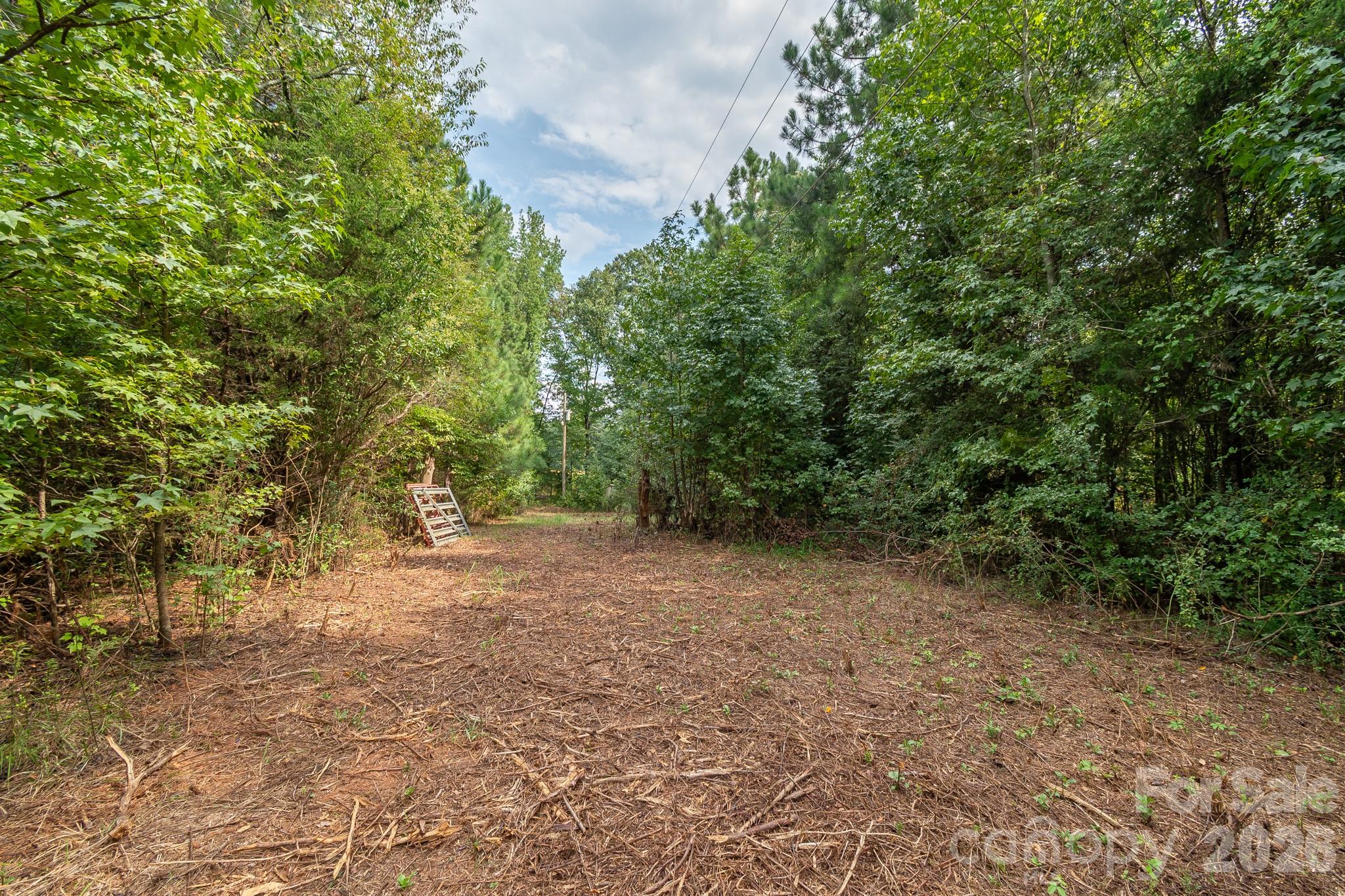 Acreage at 0 Bigham Road, Waxhaw, photo 9 of 21