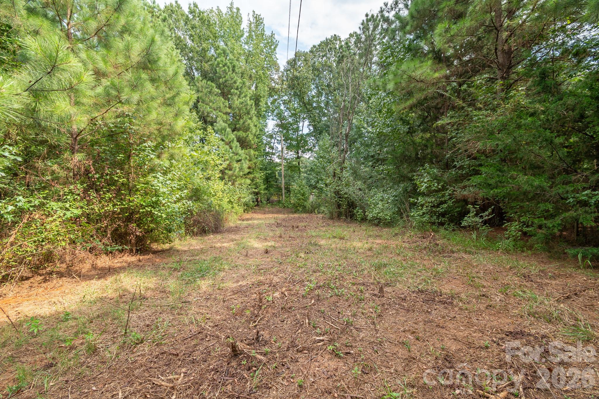 Acreage at 0 Bigham Road, Waxhaw, photo 10 of 21