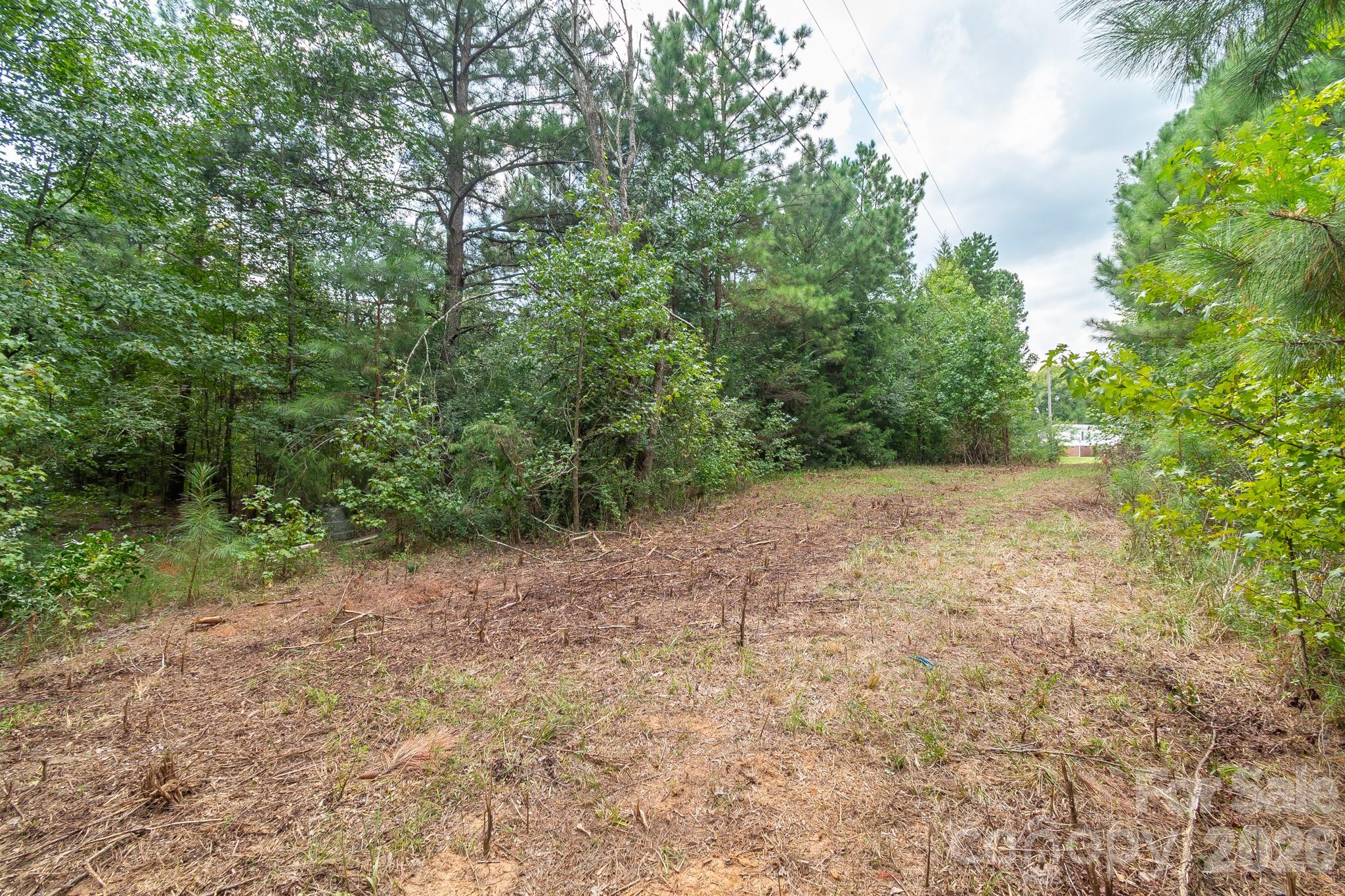 Acreage at 0 Bigham Road, Waxhaw, photo 13 of 21