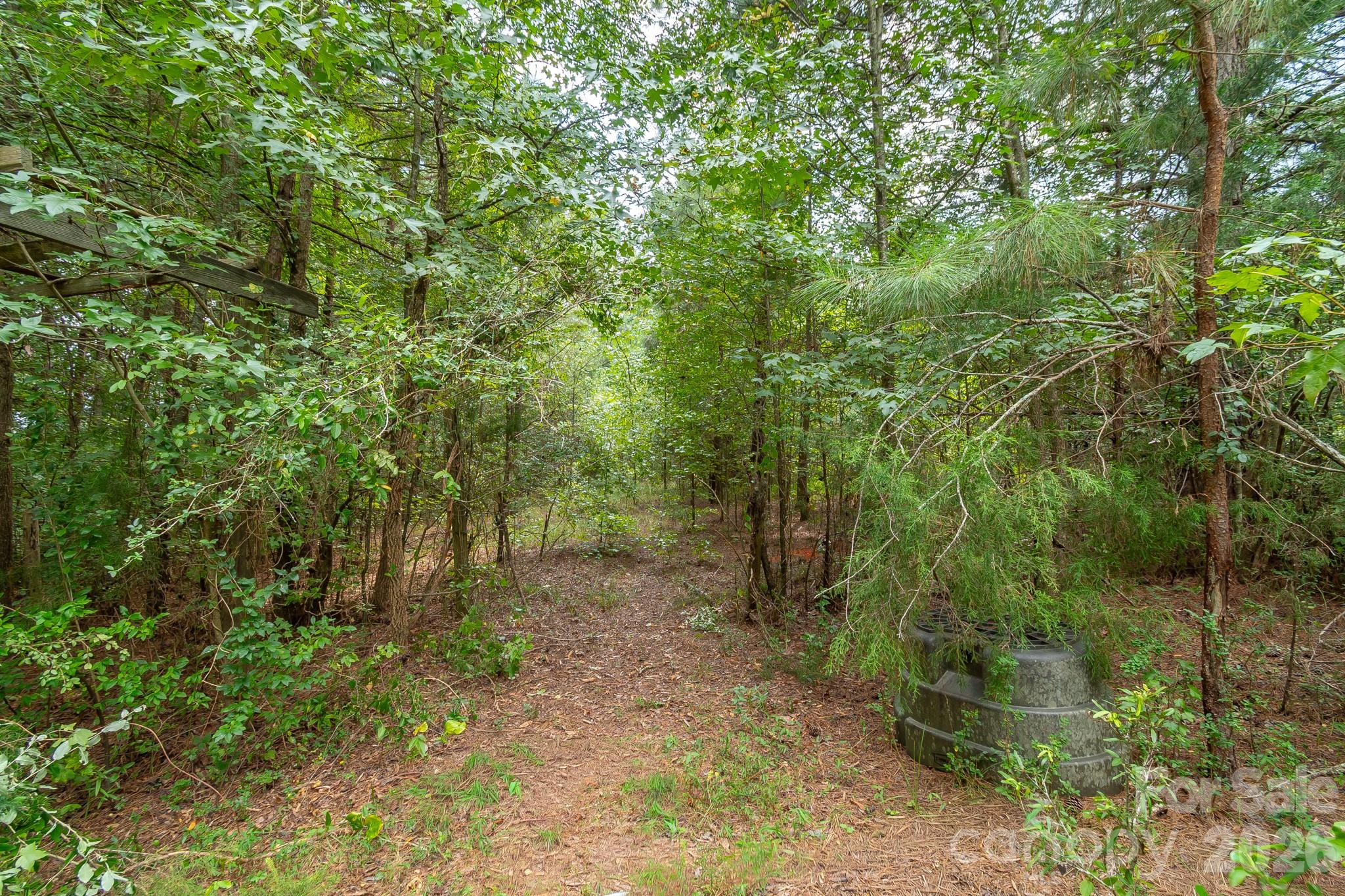 Acreage at 0 Bigham Road, Waxhaw, photo 14 of 21