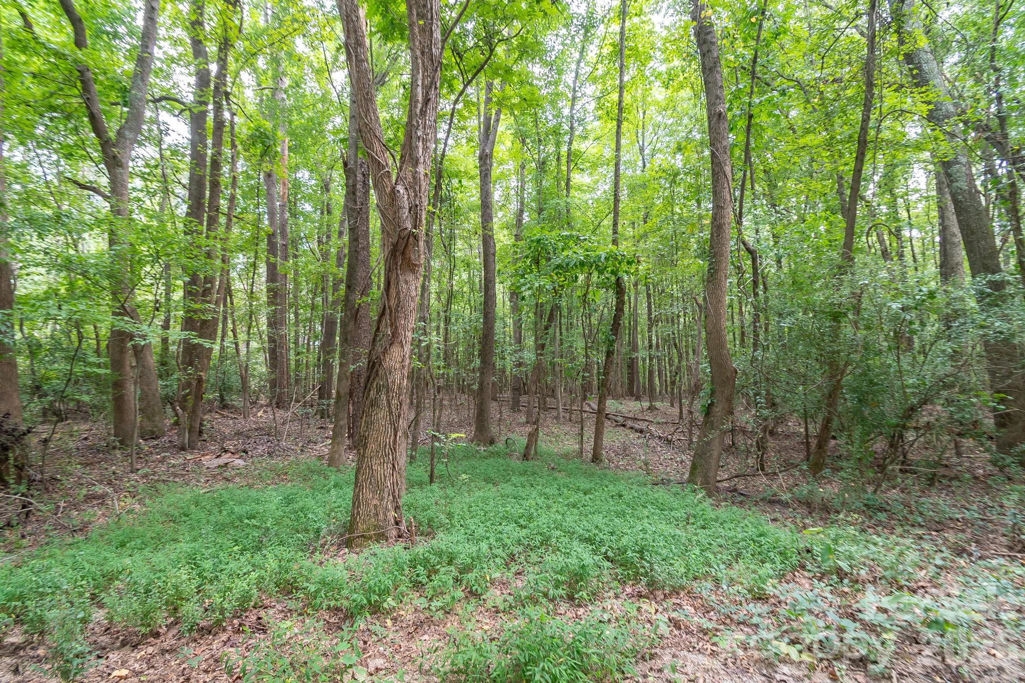 Acreage at 0 Bigham Road, Waxhaw, photo 18 of 21