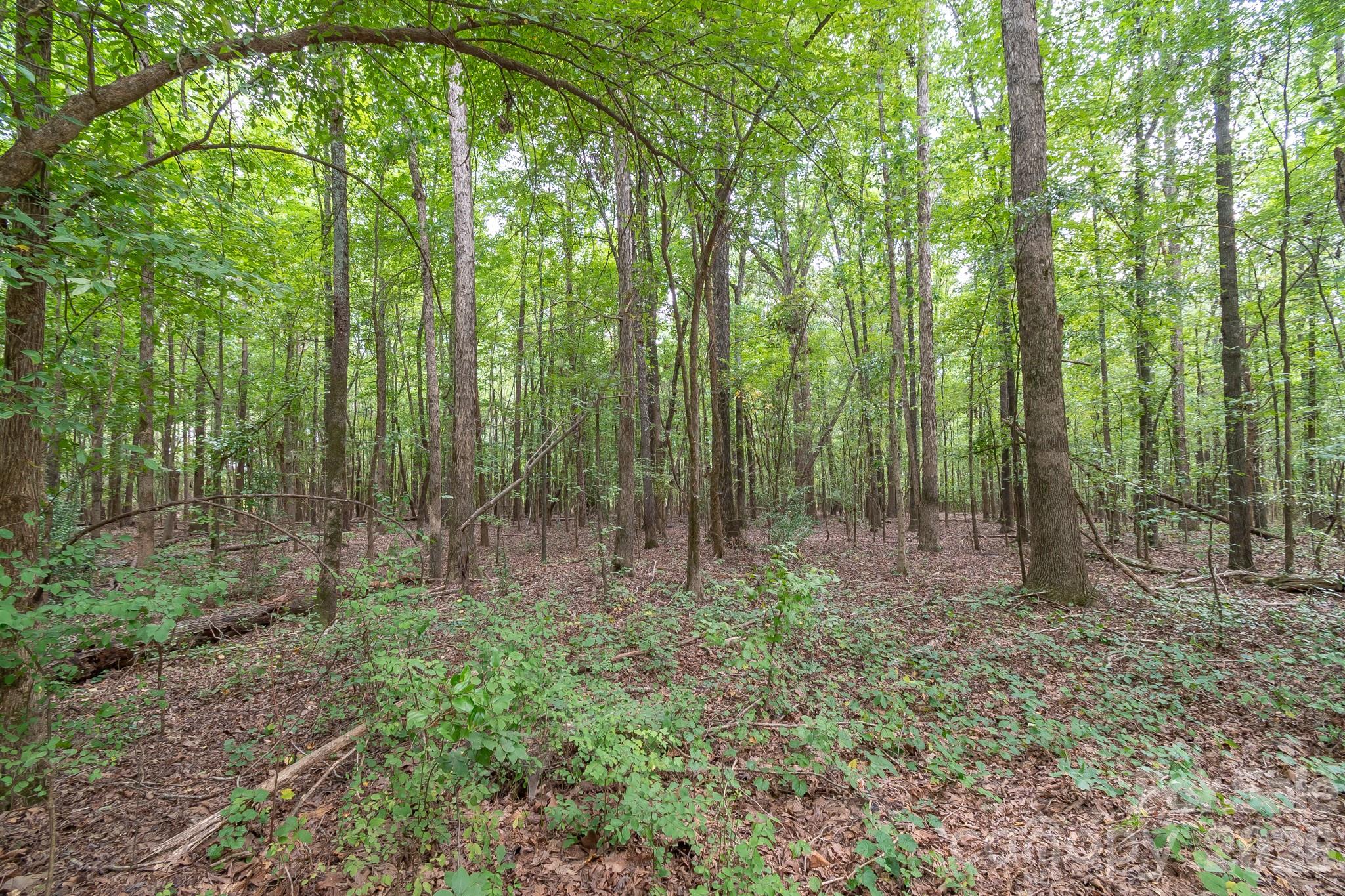 Acreage at 0 Bigham Road, Waxhaw, photo 19 of 21