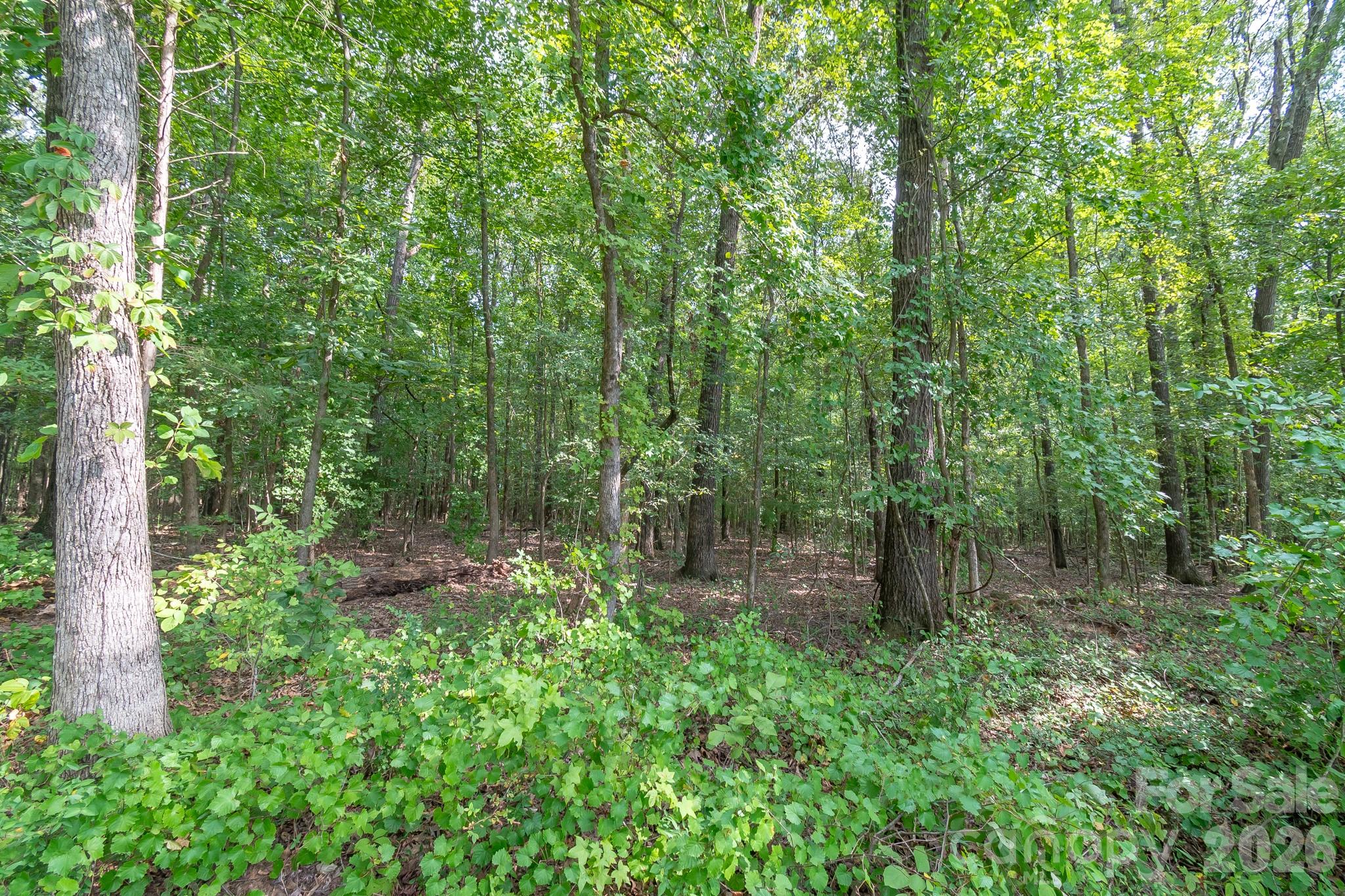 Acreage at 0 Bigham Road, Waxhaw, photo 20 of 21