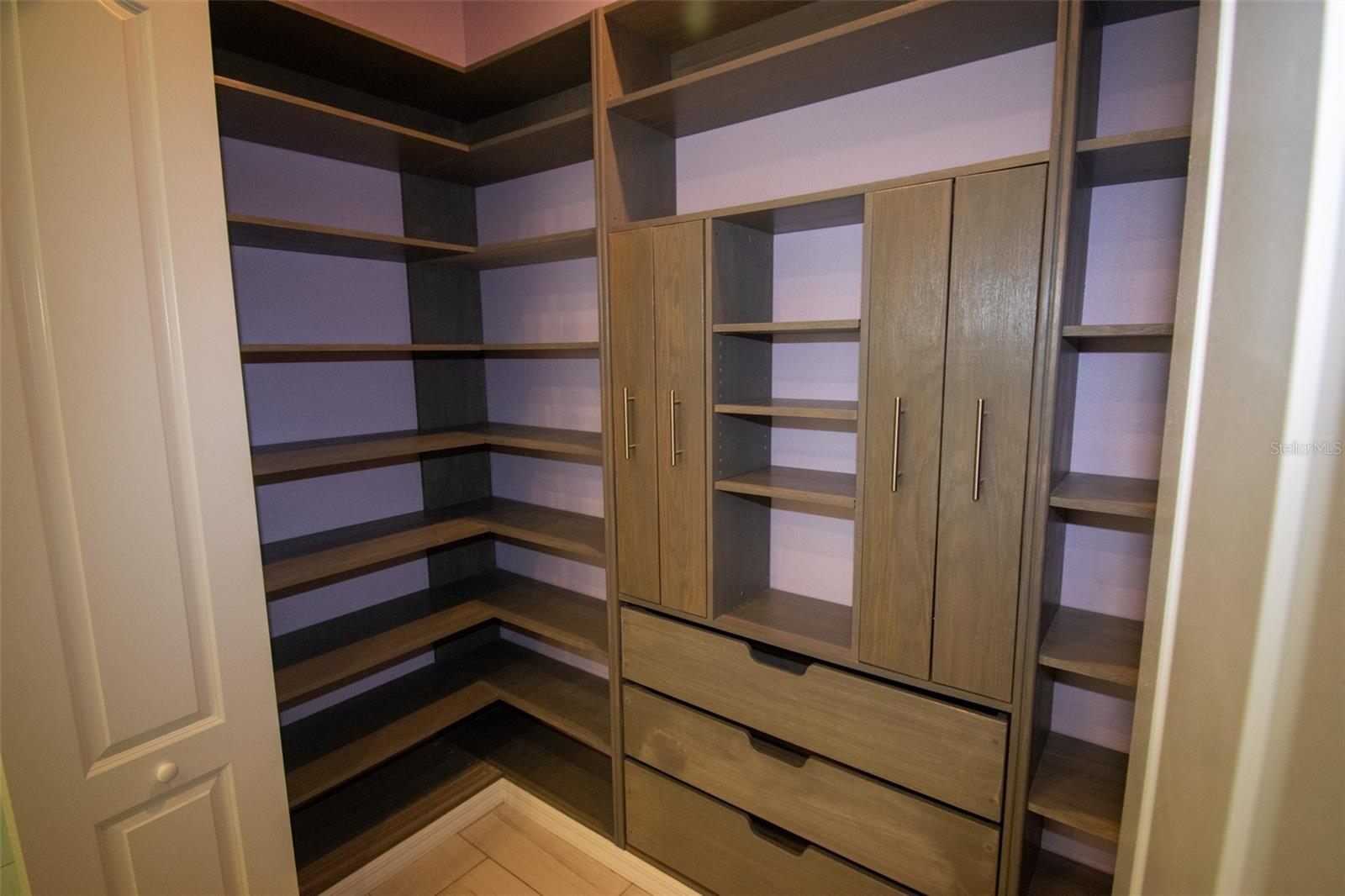 Walk-in pantry with room for all your extra big pots. - 225 BIRCHWOOD DR, PALM COAST