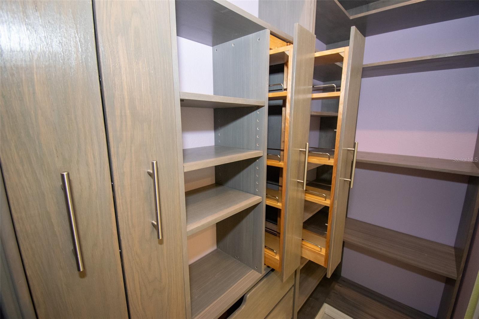 Four slide-out spice racks ensure you are never out of that special seasoning you need. - 225 BIRCHWOOD DR, PALM COAST