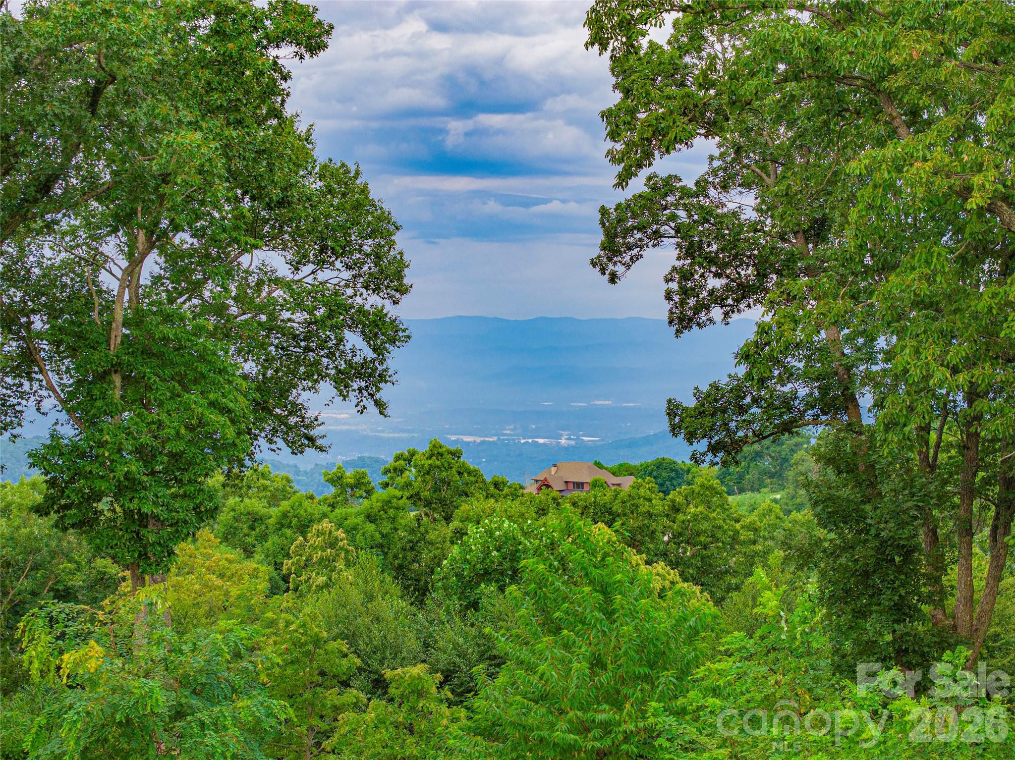 View through the trees, feet on the road - Lot #90 Summerset Drive, Hendersonville