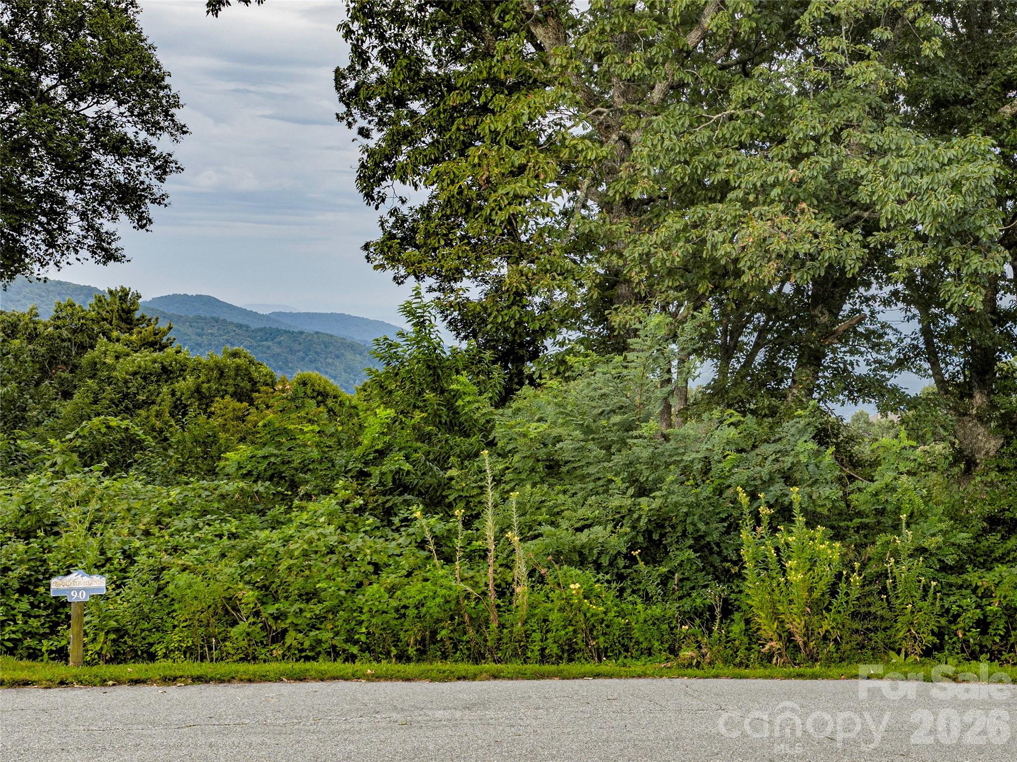 Feet on the ground - Lot #90 Summerset Drive, Hendersonville