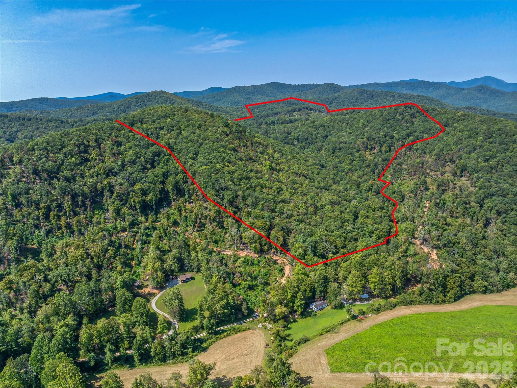 Acreage at 567 Davey Branch Road, Horse Shoe, photo 8 of 44