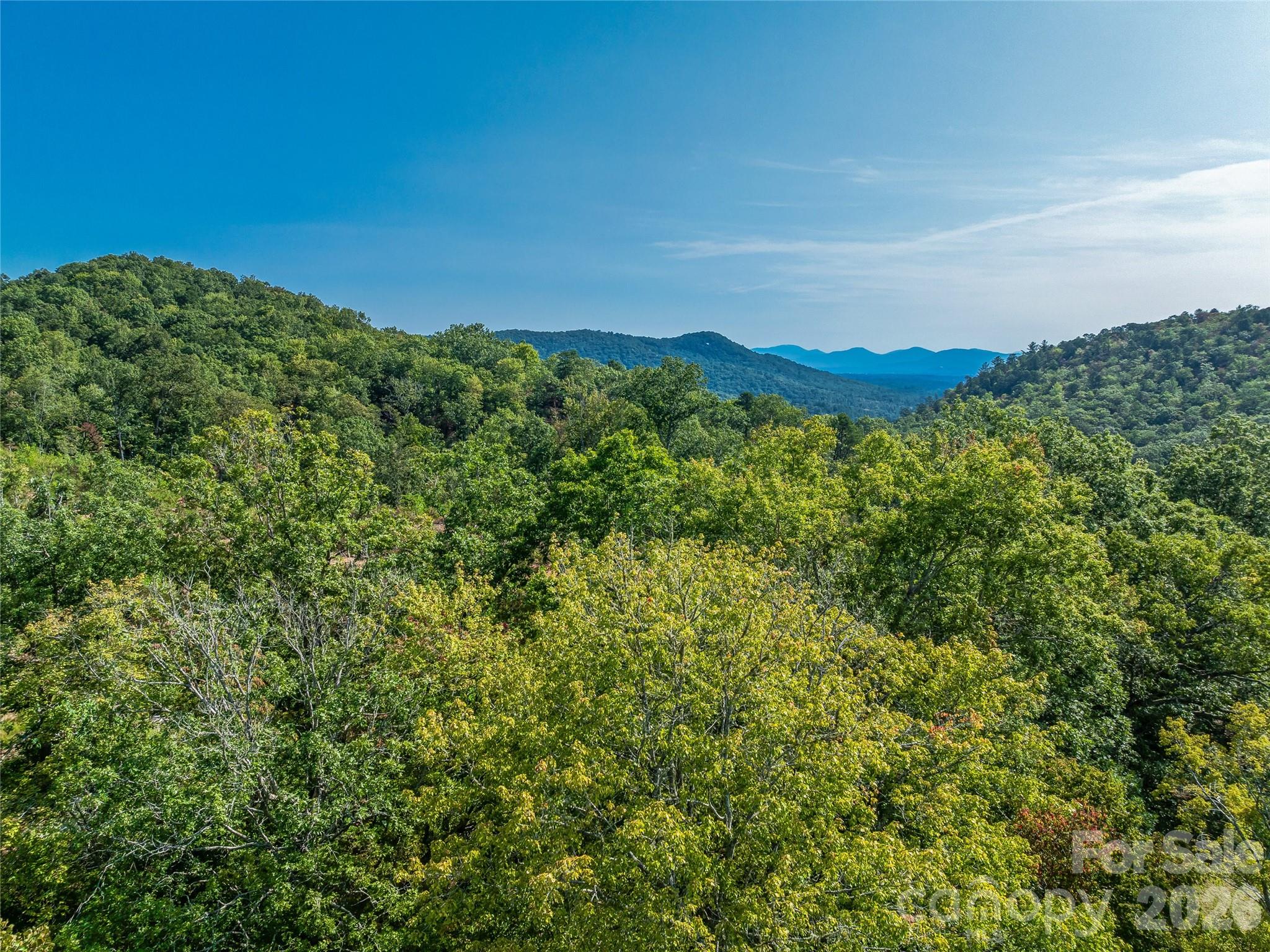 Acreage at 567 Davey Branch Road, Horse Shoe, photo 5 of 44