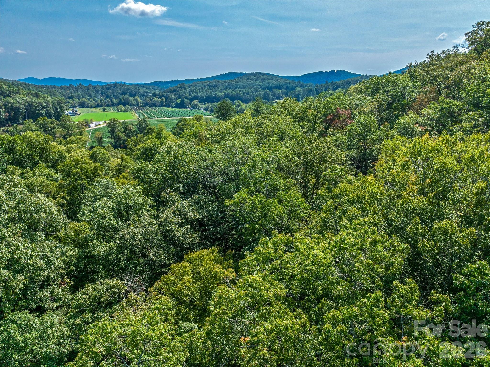 Acreage at 567 Davey Branch Road, Horse Shoe, photo 6 of 44