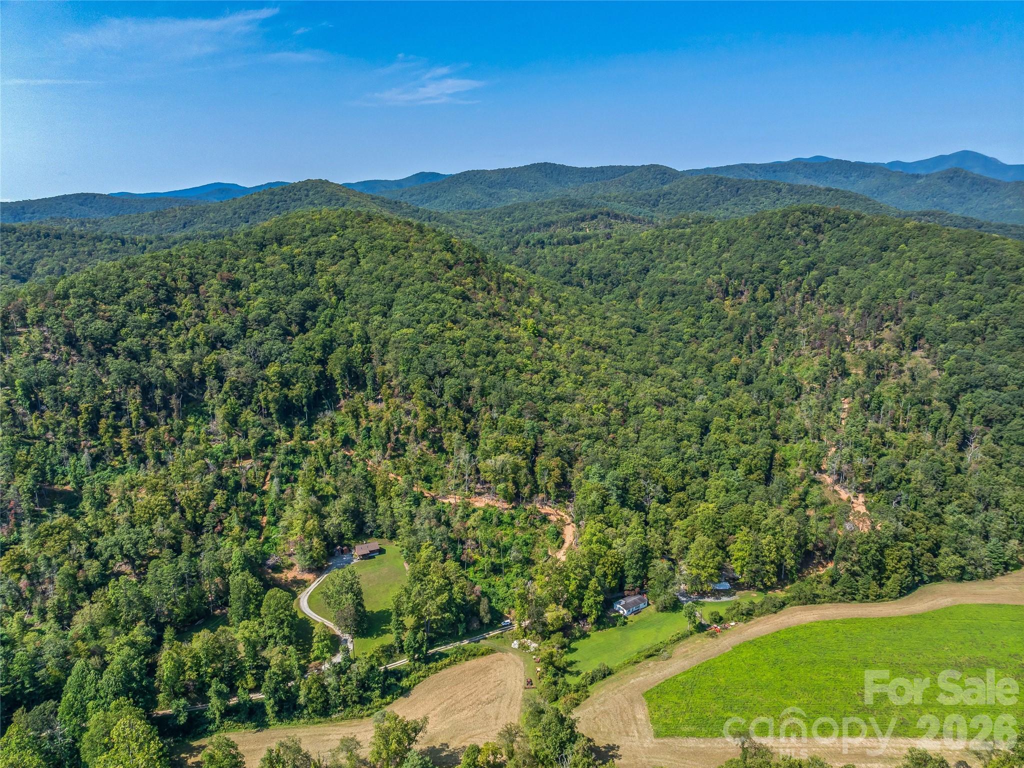 Acreage at 567 Davey Branch Road, Horse Shoe, photo 9 of 44