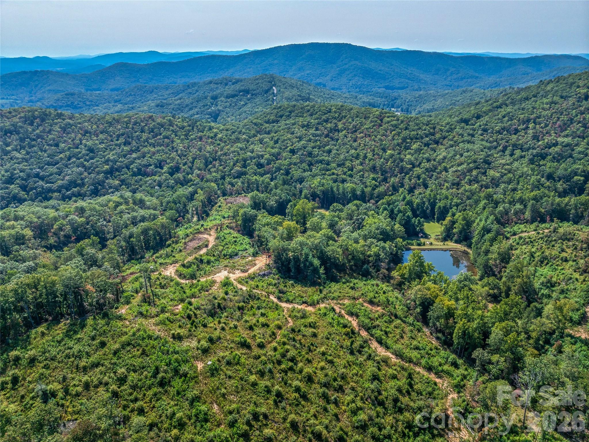Acreage at 567 Davey Branch Road, Horse Shoe, photo 12 of 44