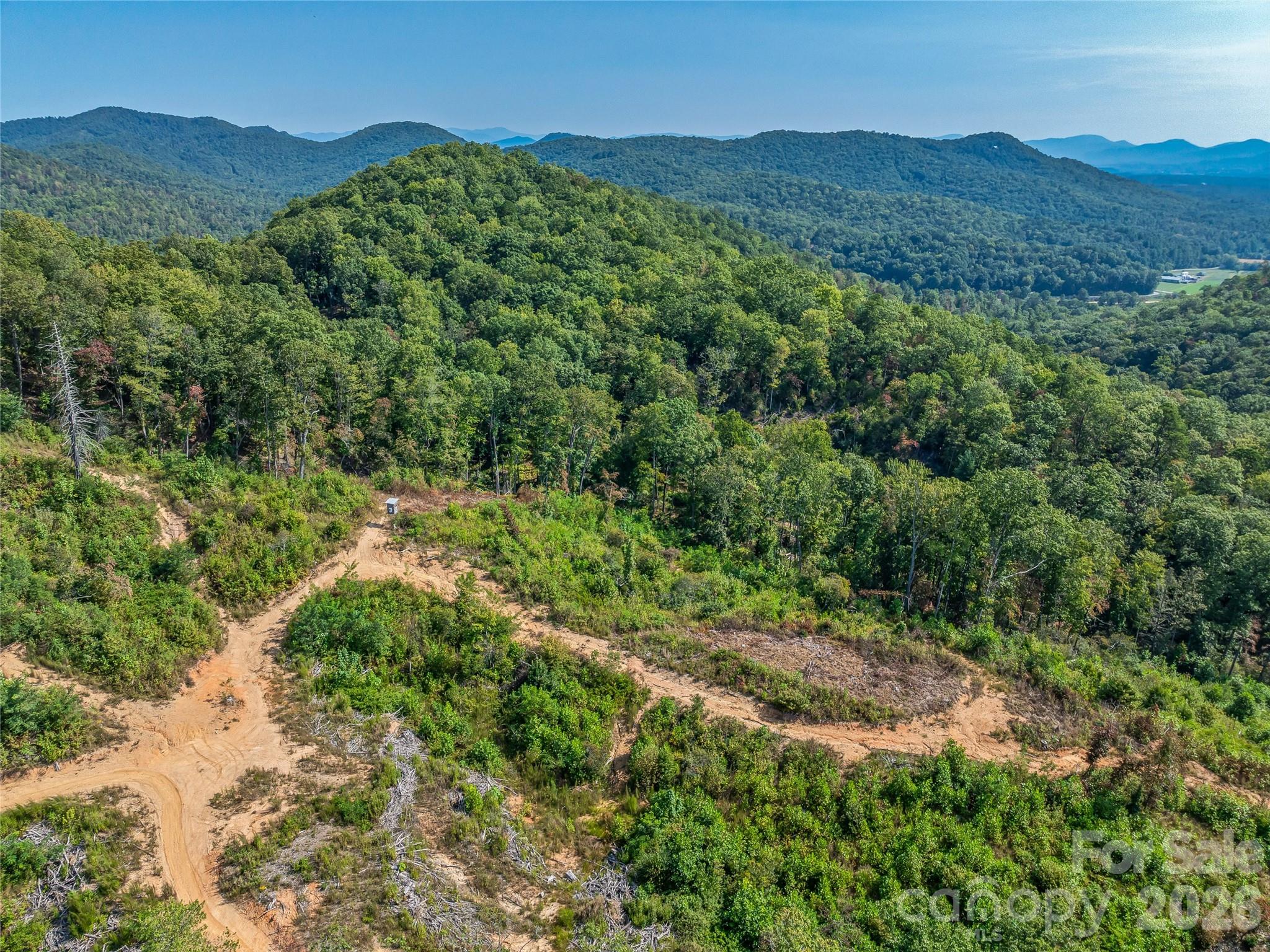 Acreage at 567 Davey Branch Road, Horse Shoe, photo 13 of 44