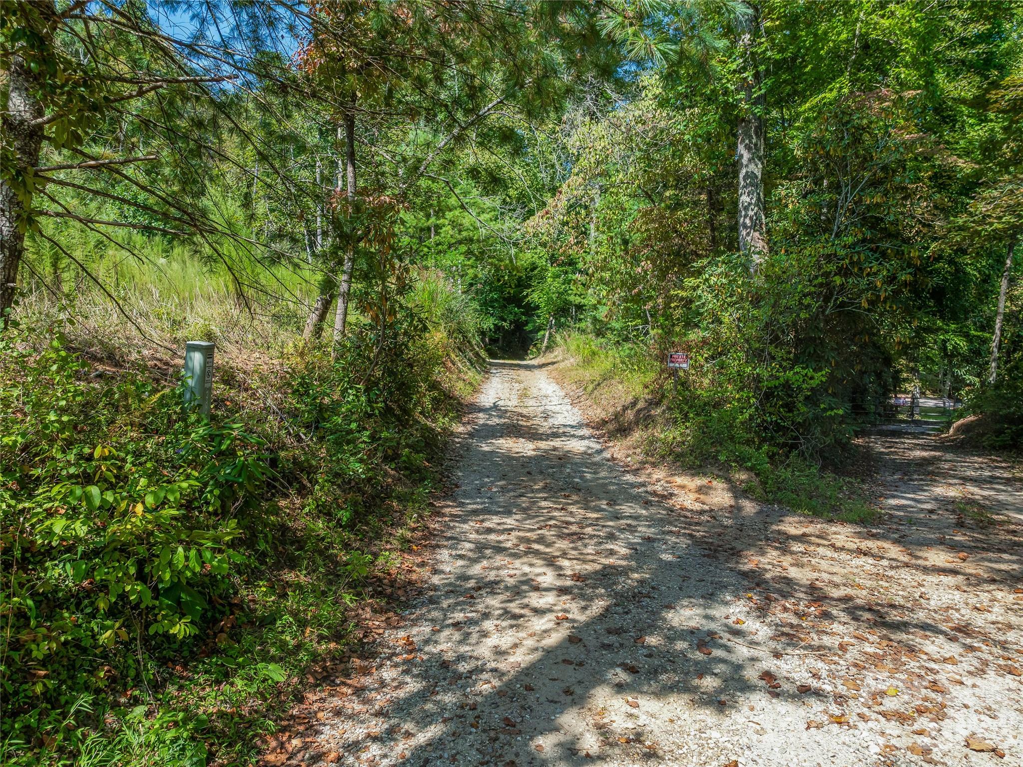 Acreage at 567 Davey Branch Road, Horse Shoe, photo 14 of 44