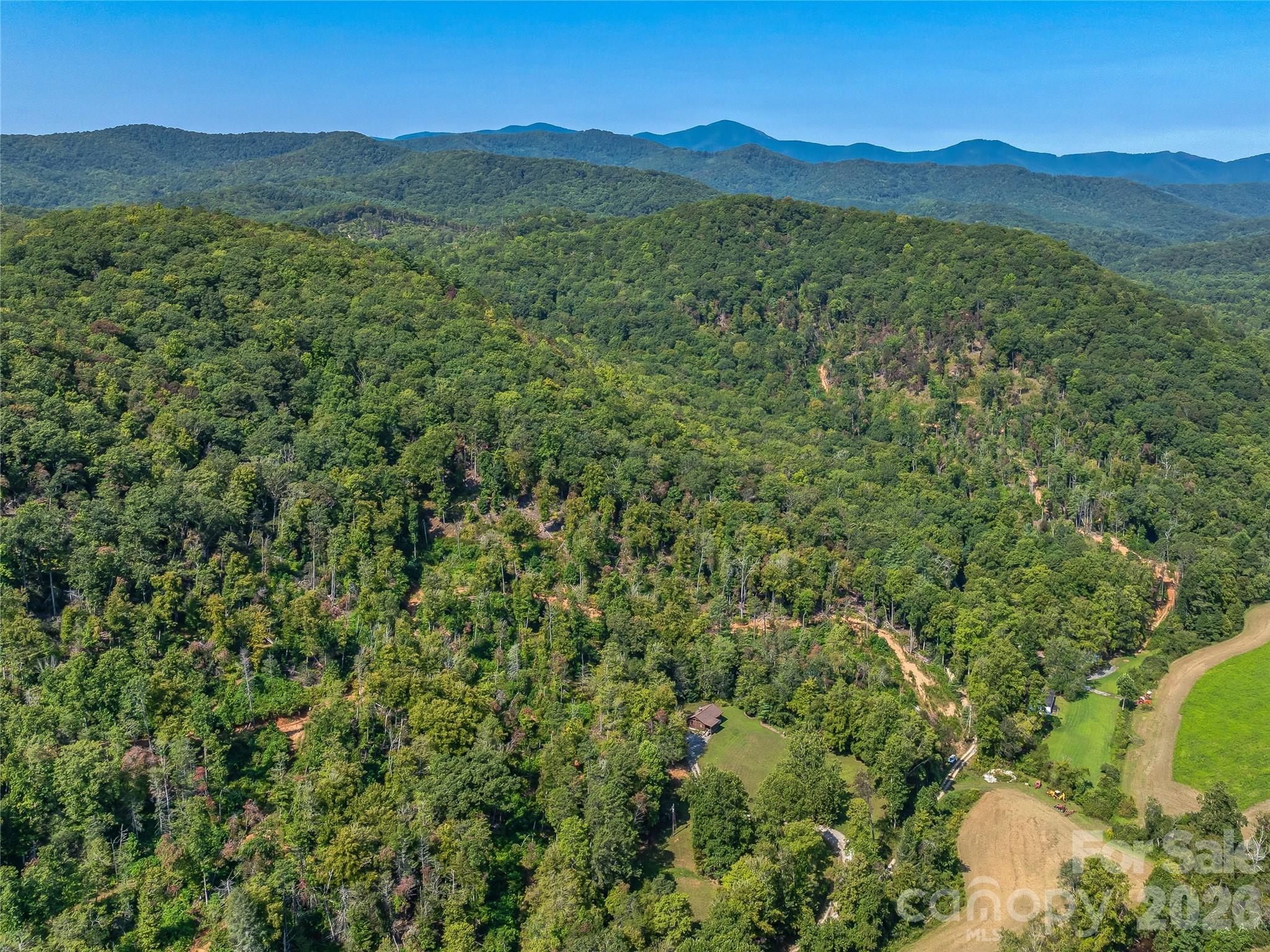 Acreage at 567 Davey Branch Road, Horse Shoe, photo 15 of 44