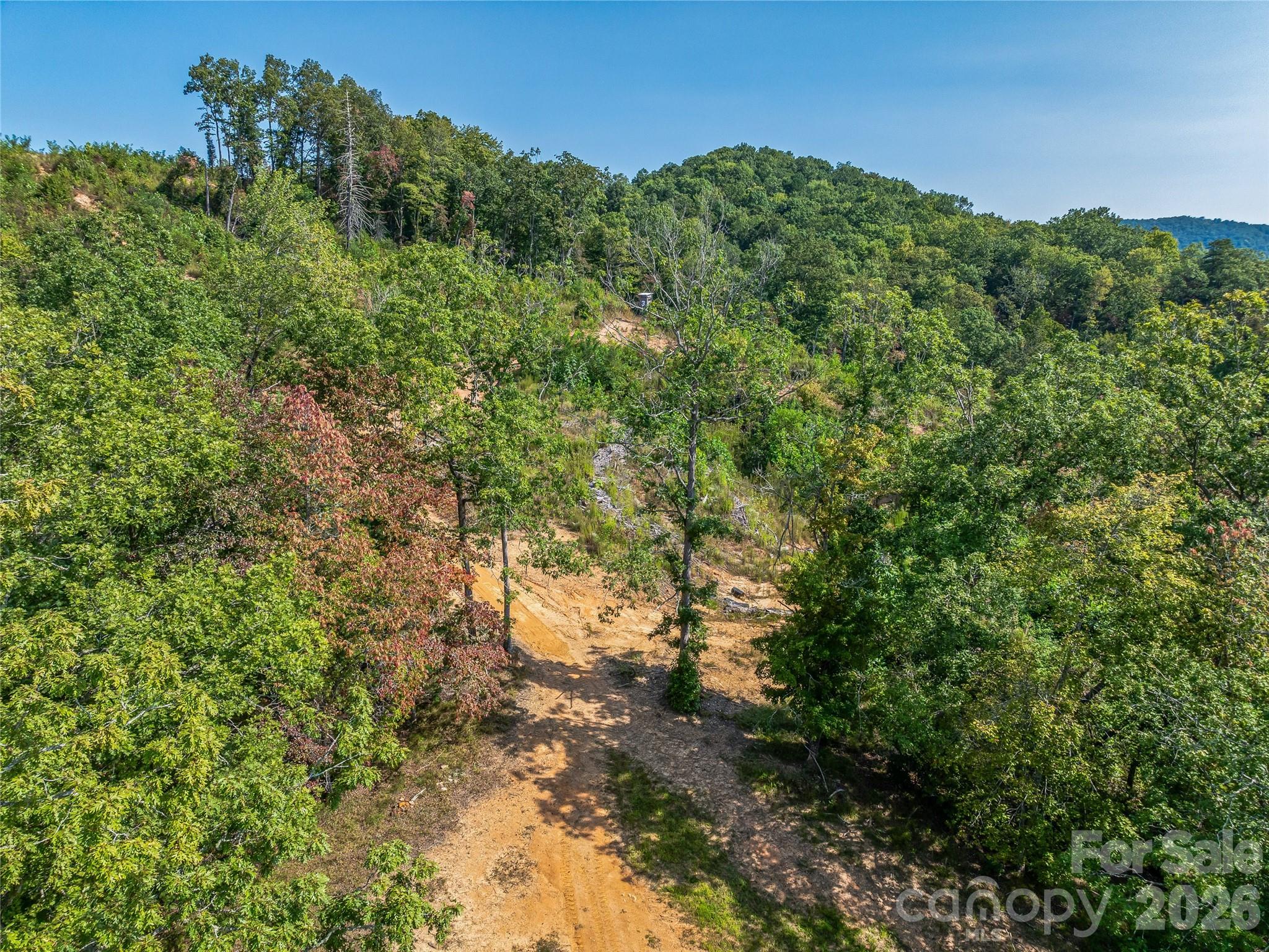 Acreage at 567 Davey Branch Road, Horse Shoe, photo 16 of 44