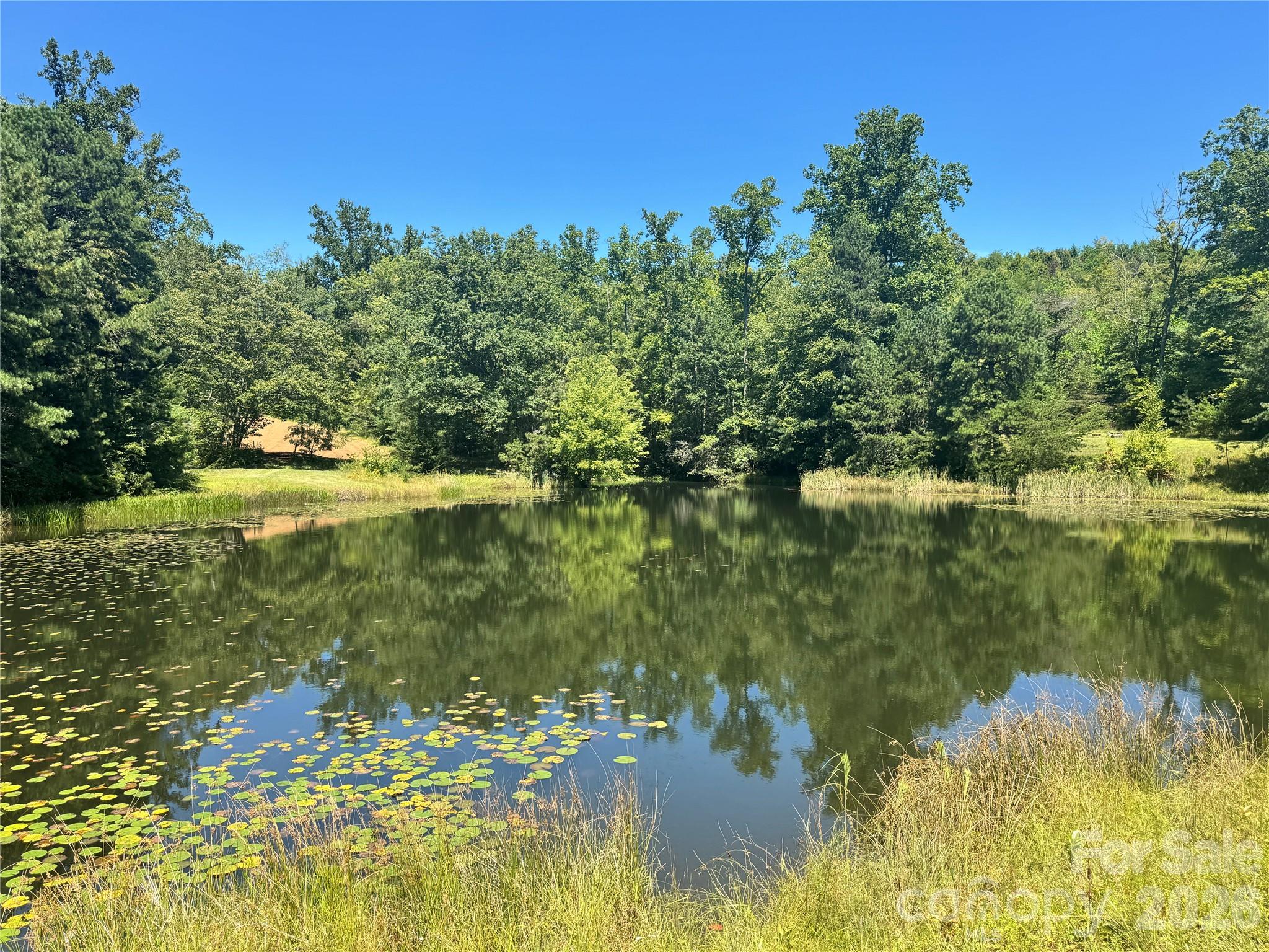Acreage at 567 Davey Branch Road, Horse Shoe, photo 17 of 44