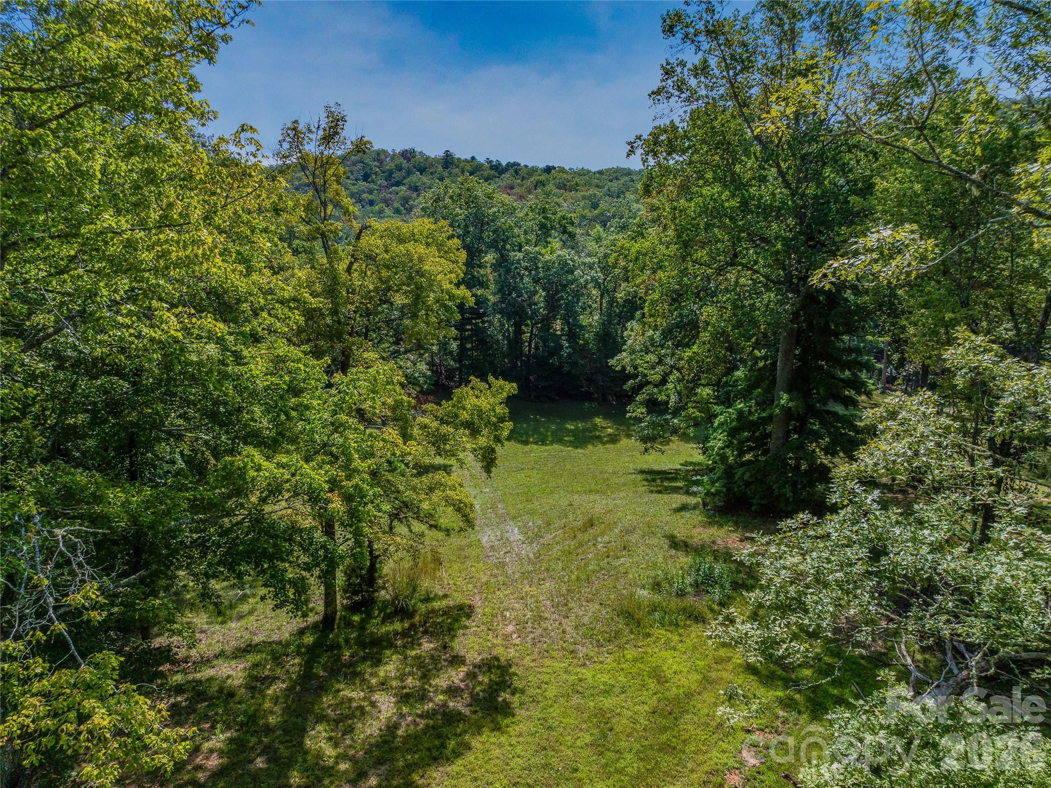 Acreage at 567 Davey Branch Road, Horse Shoe, photo 18 of 44