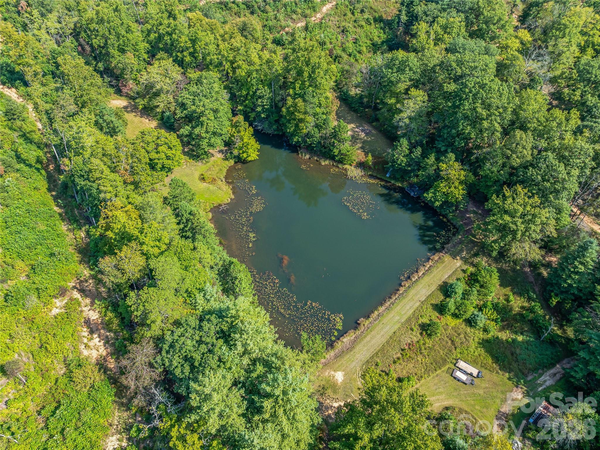 Acreage at 567 Davey Branch Road, Horse Shoe, photo 7 of 44