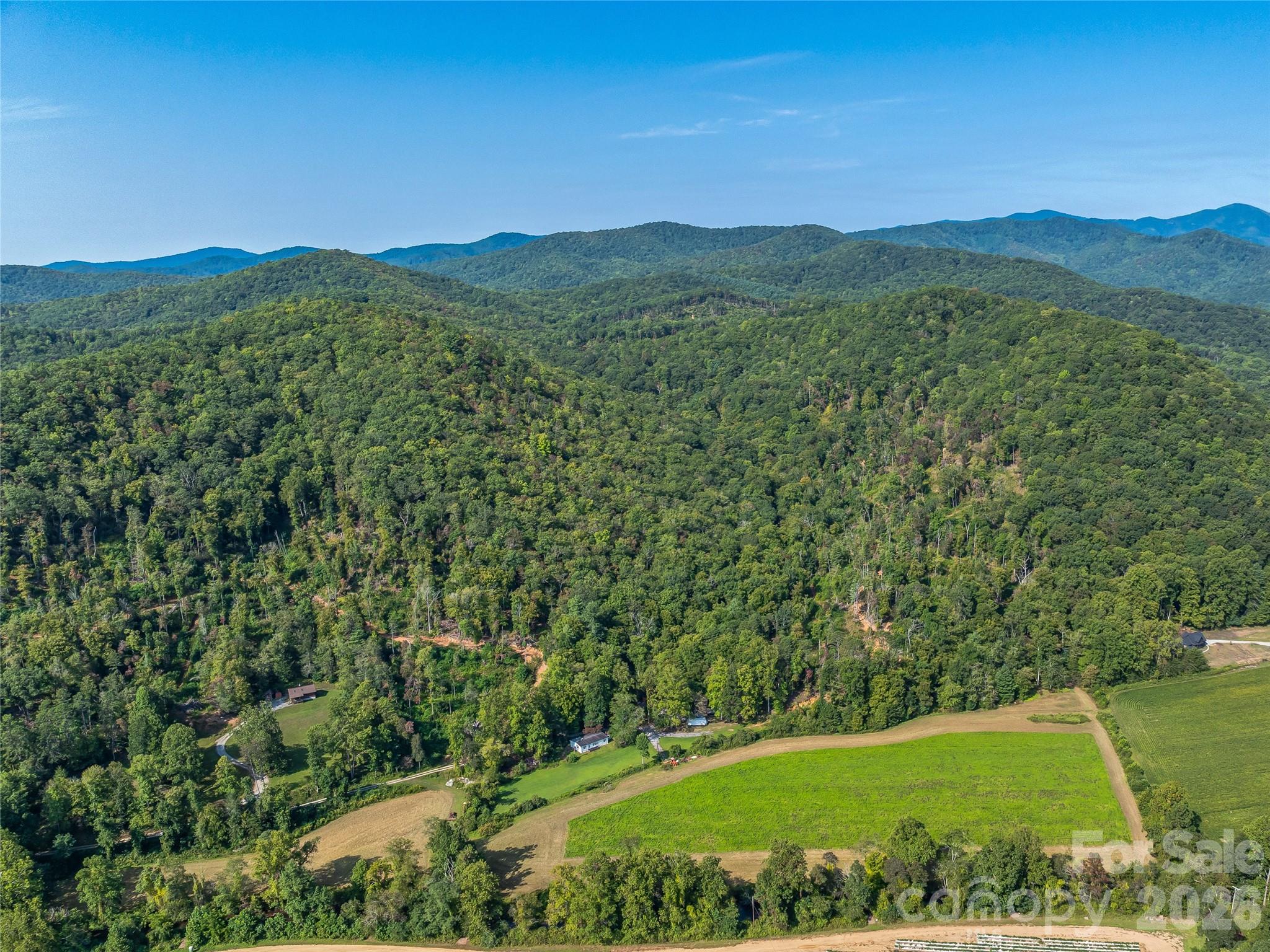 Acreage at 567 Davey Branch Road, Horse Shoe, photo 21 of 44