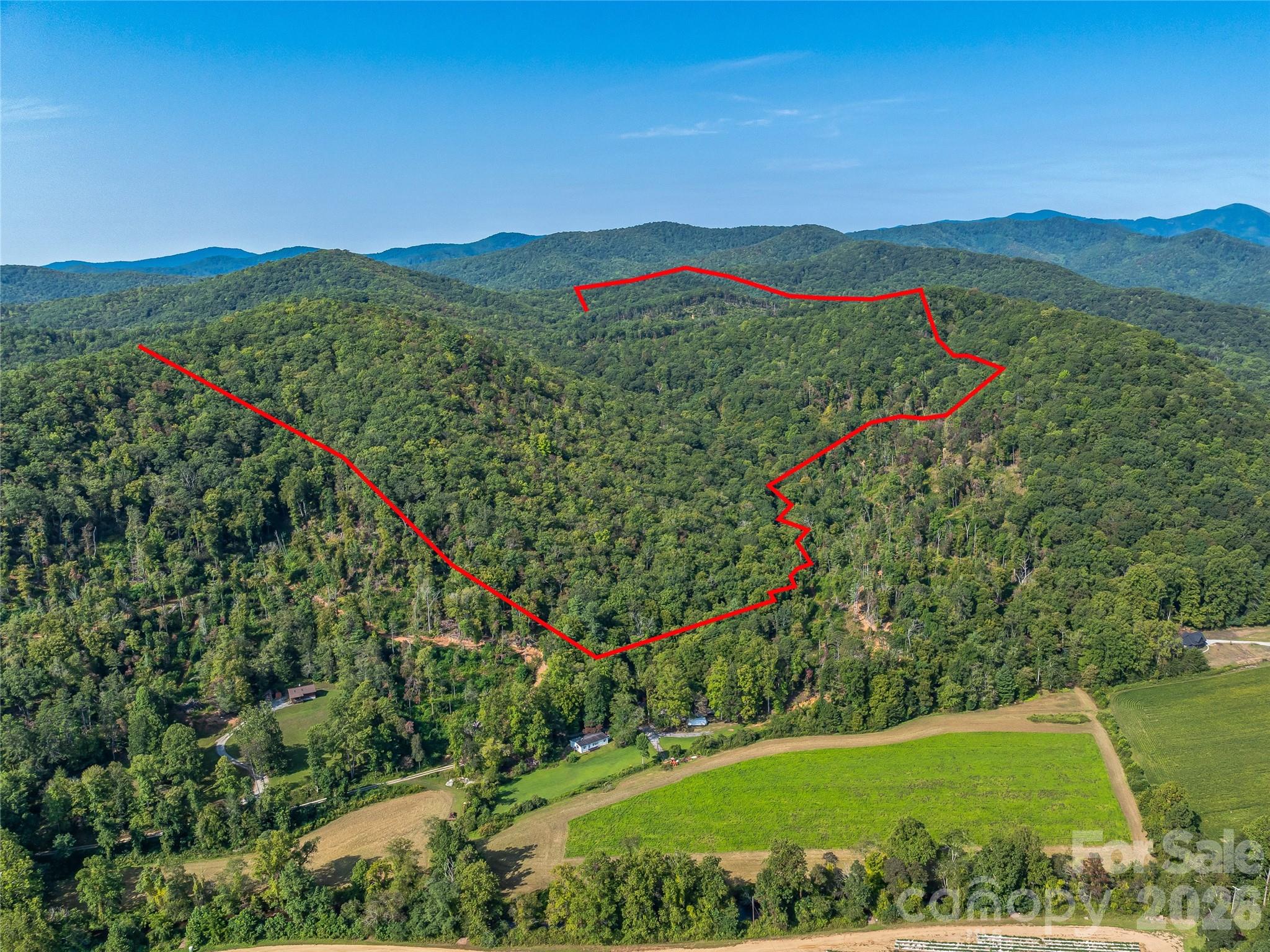 Acreage at 567 Davey Branch Road, Horse Shoe, photo 22 of 44