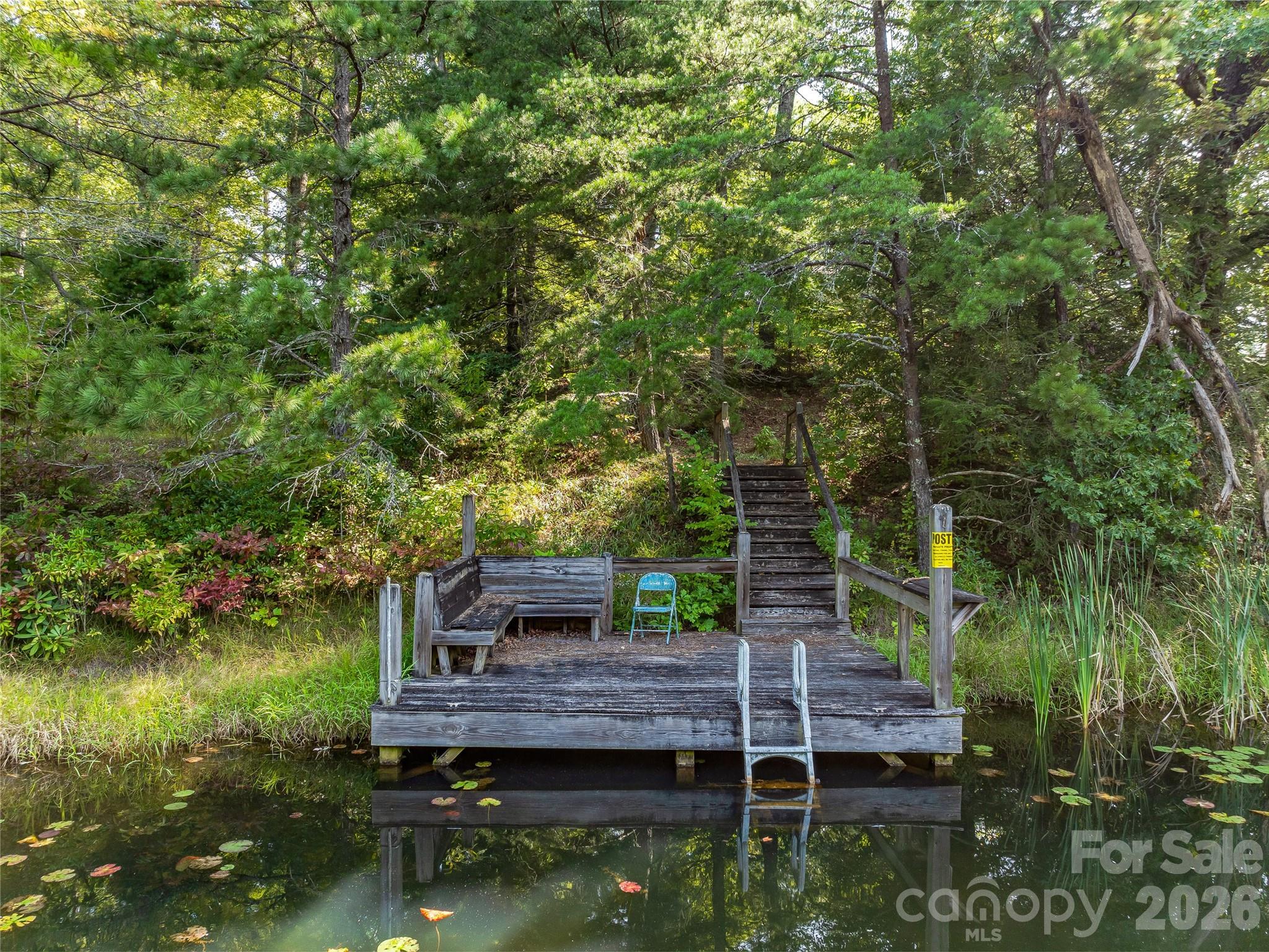 Acreage at 567 Davey Branch Road, Horse Shoe, photo 23 of 44