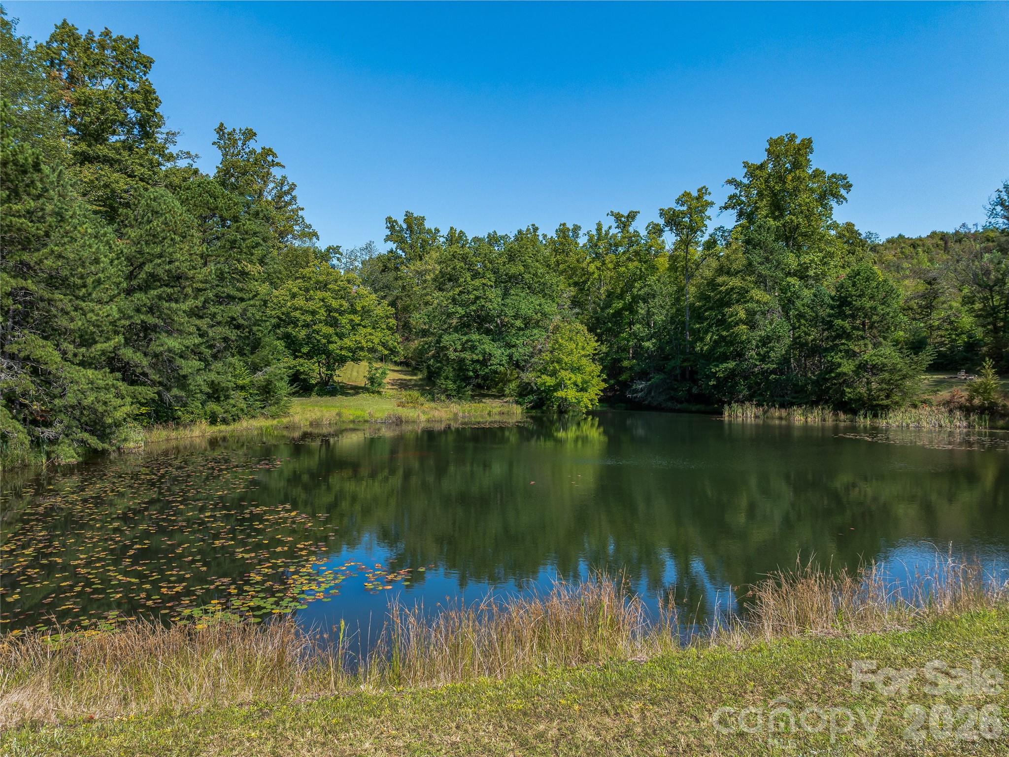 Acreage at 567 Davey Branch Road, Horse Shoe, photo 24 of 44