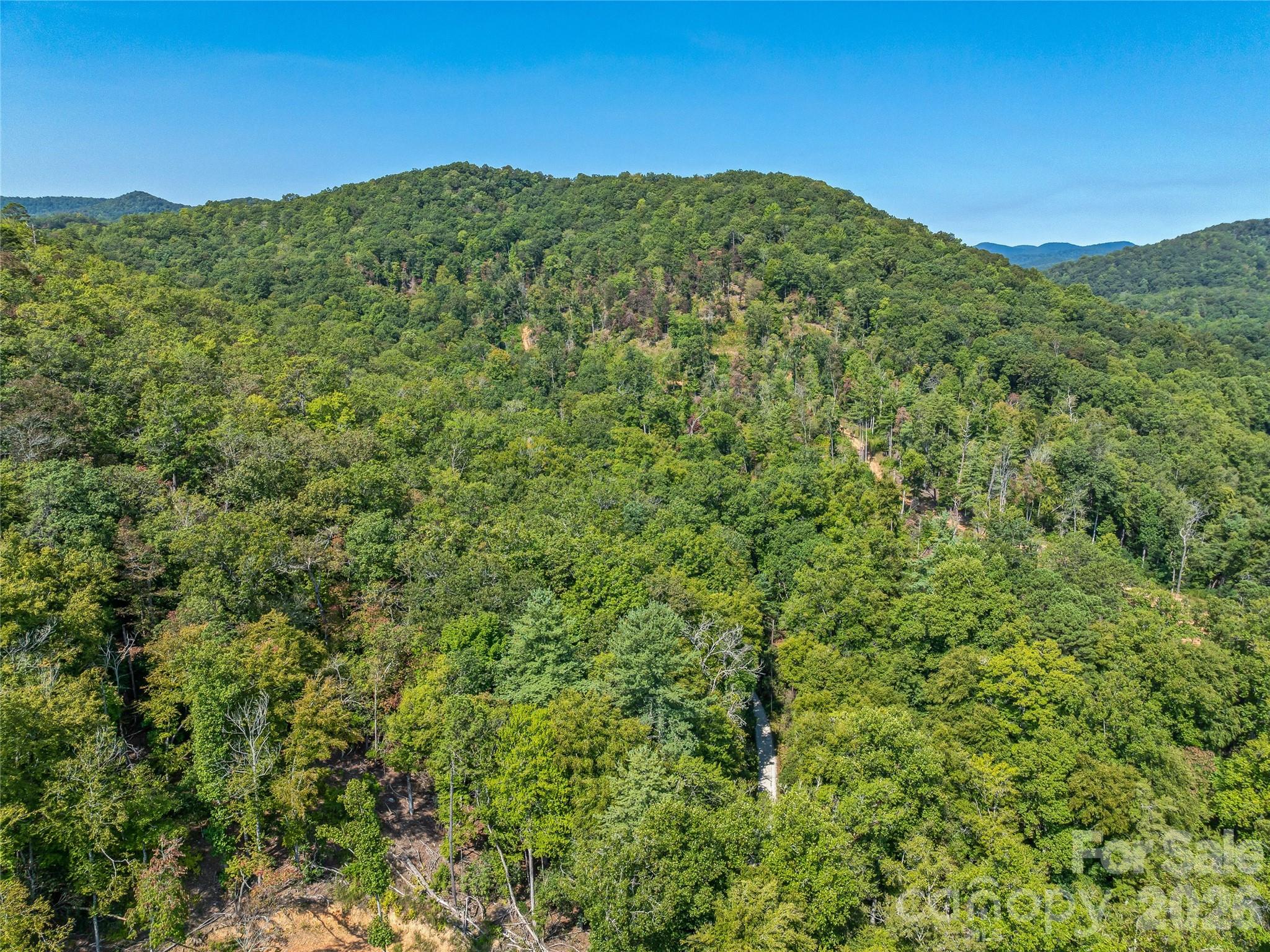 Acreage at 567 Davey Branch Road, Horse Shoe, photo 25 of 44