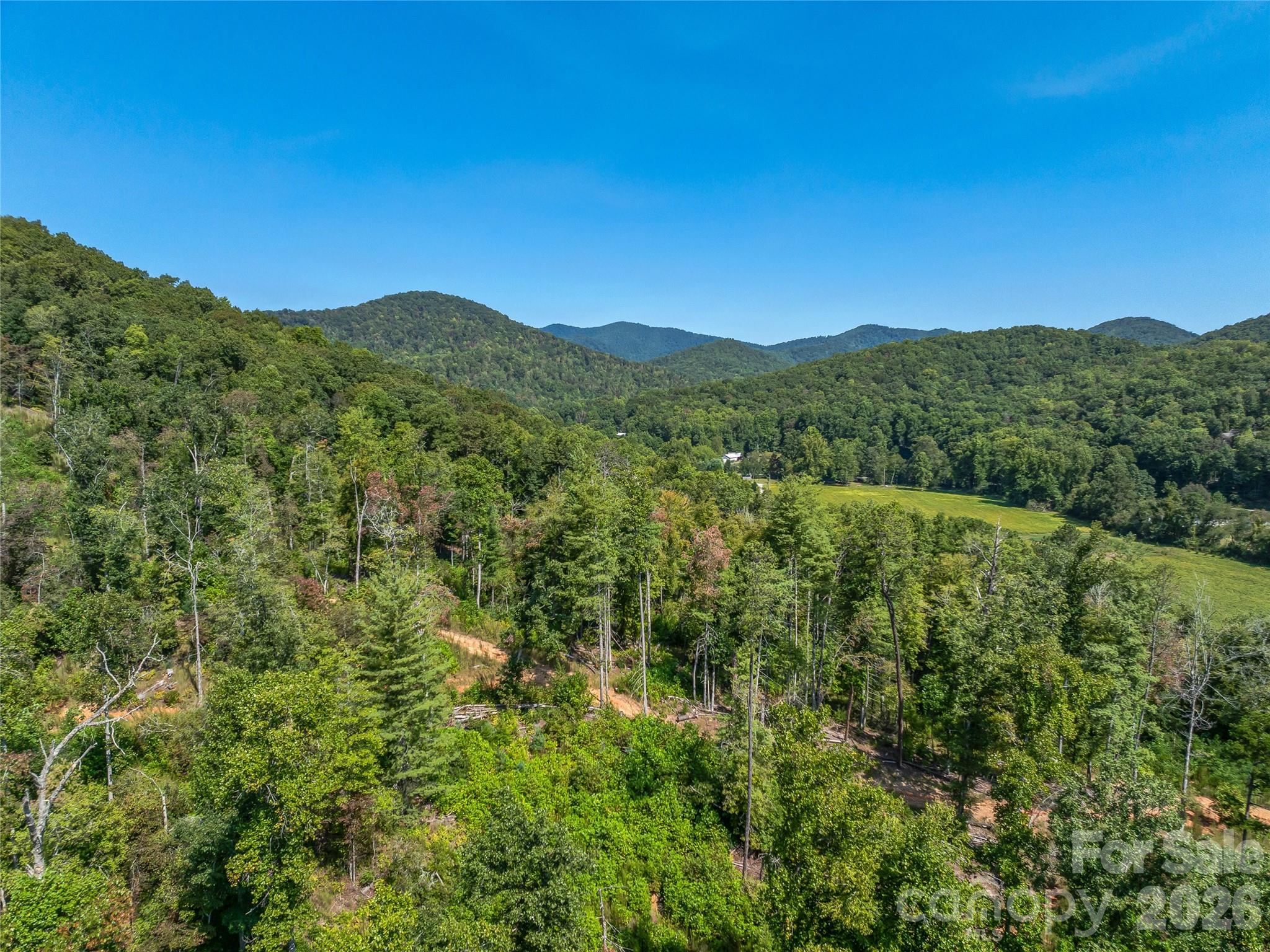 Acreage at 567 Davey Branch Road, Horse Shoe, photo 26 of 44