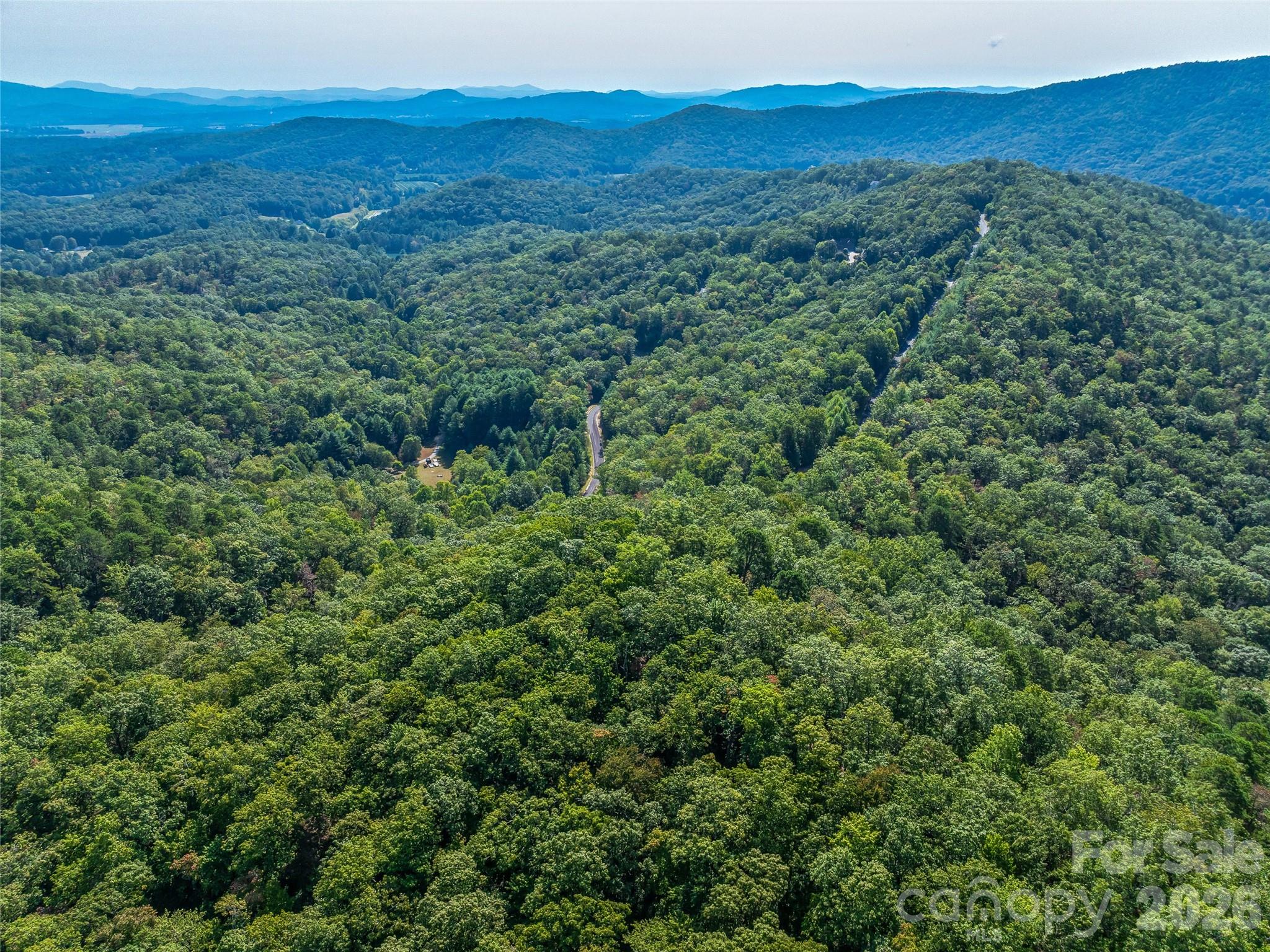 Acreage at 567 Davey Branch Road, Horse Shoe, photo 27 of 44