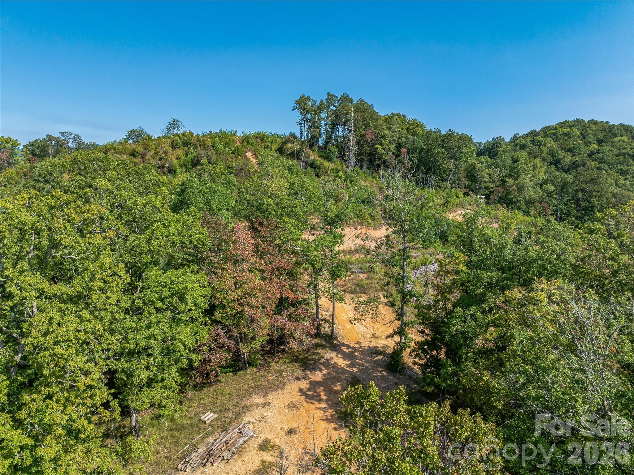 Acreage at 567 Davey Branch Road, Horse Shoe, photo 28 of 44