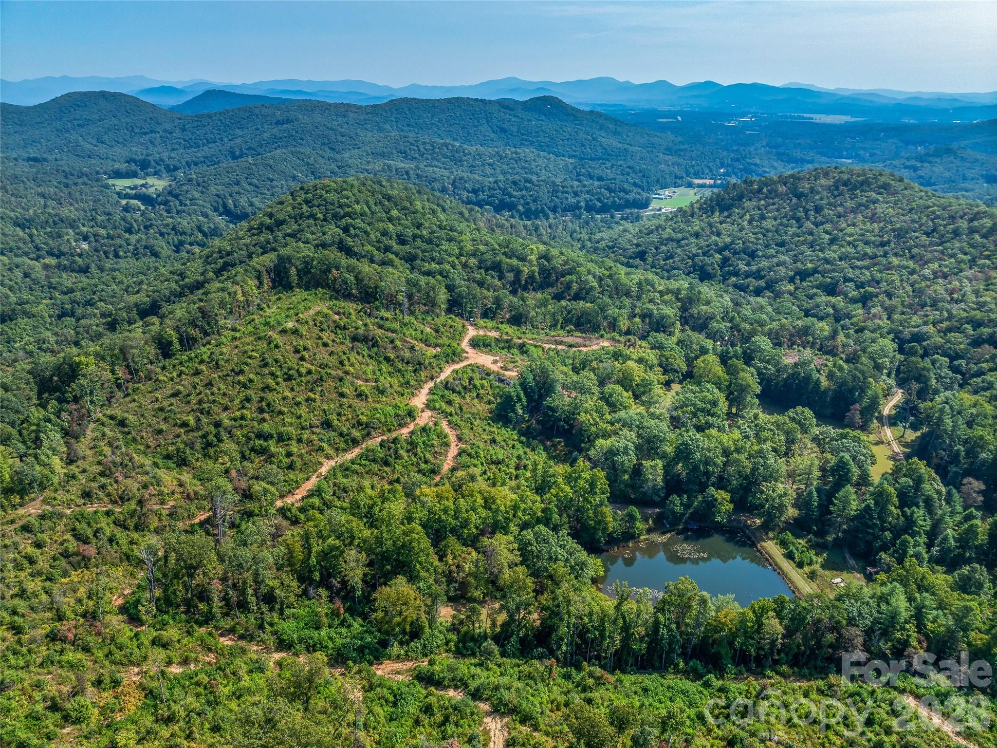 Acreage at 567 Davey Branch Road, Horse Shoe, photo 20 of 44