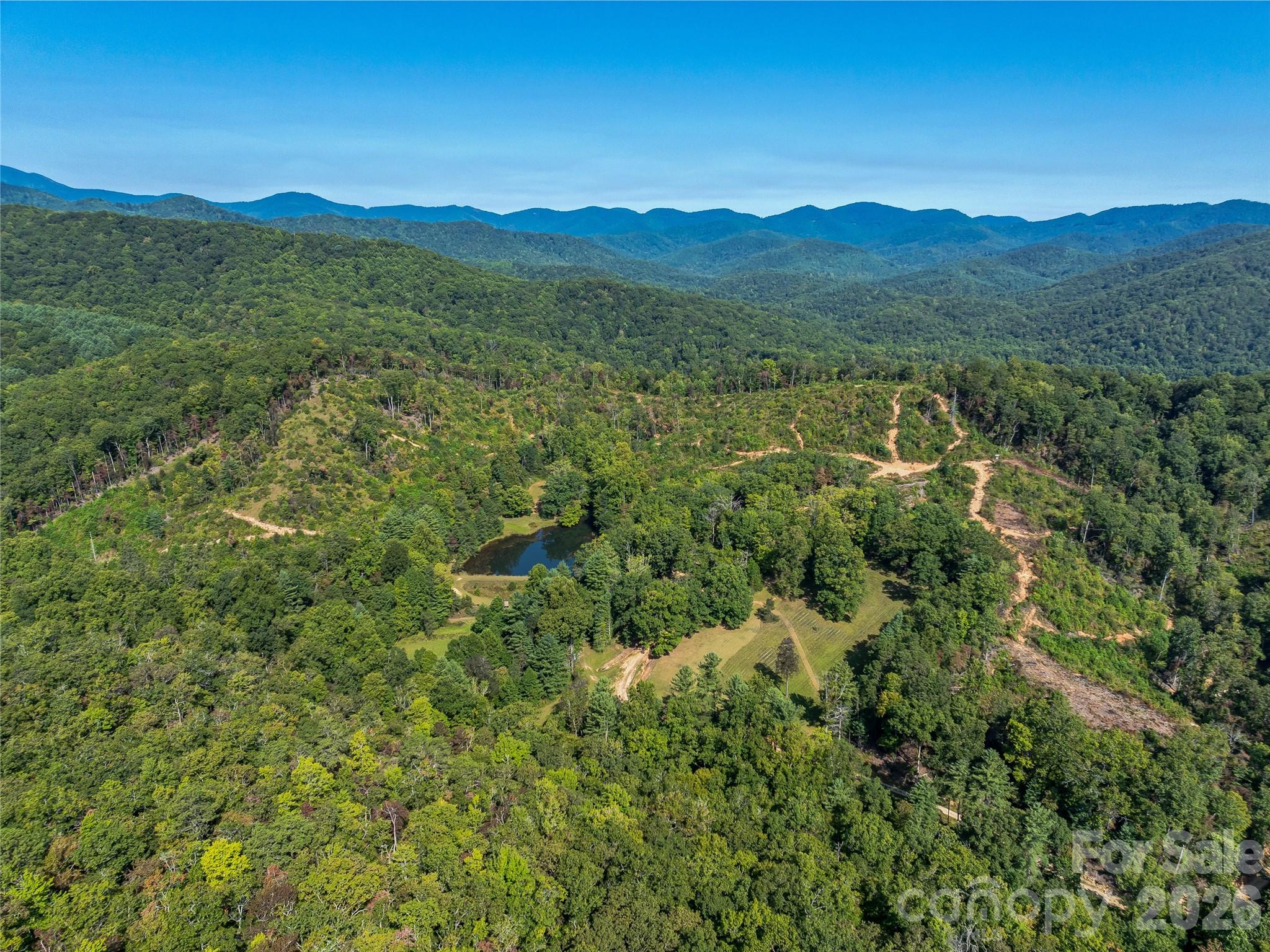 Acreage at 567 Davey Branch Road, Horse Shoe, photo 29 of 44