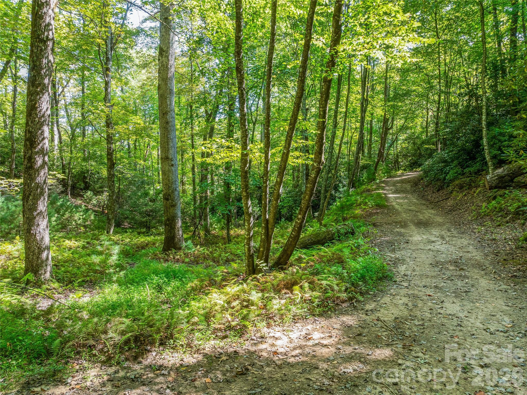 Acreage at 567 Davey Branch Road, Horse Shoe, photo 30 of 44