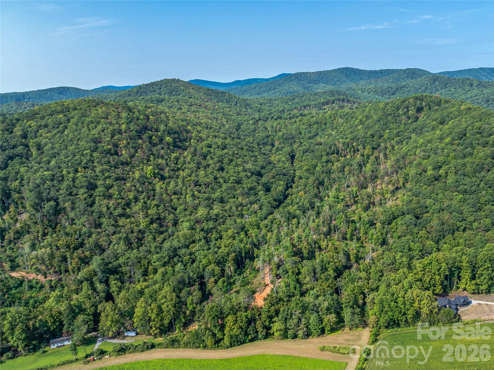 Acreage at 567 Davey Branch Road, Horse Shoe, photo 31 of 44