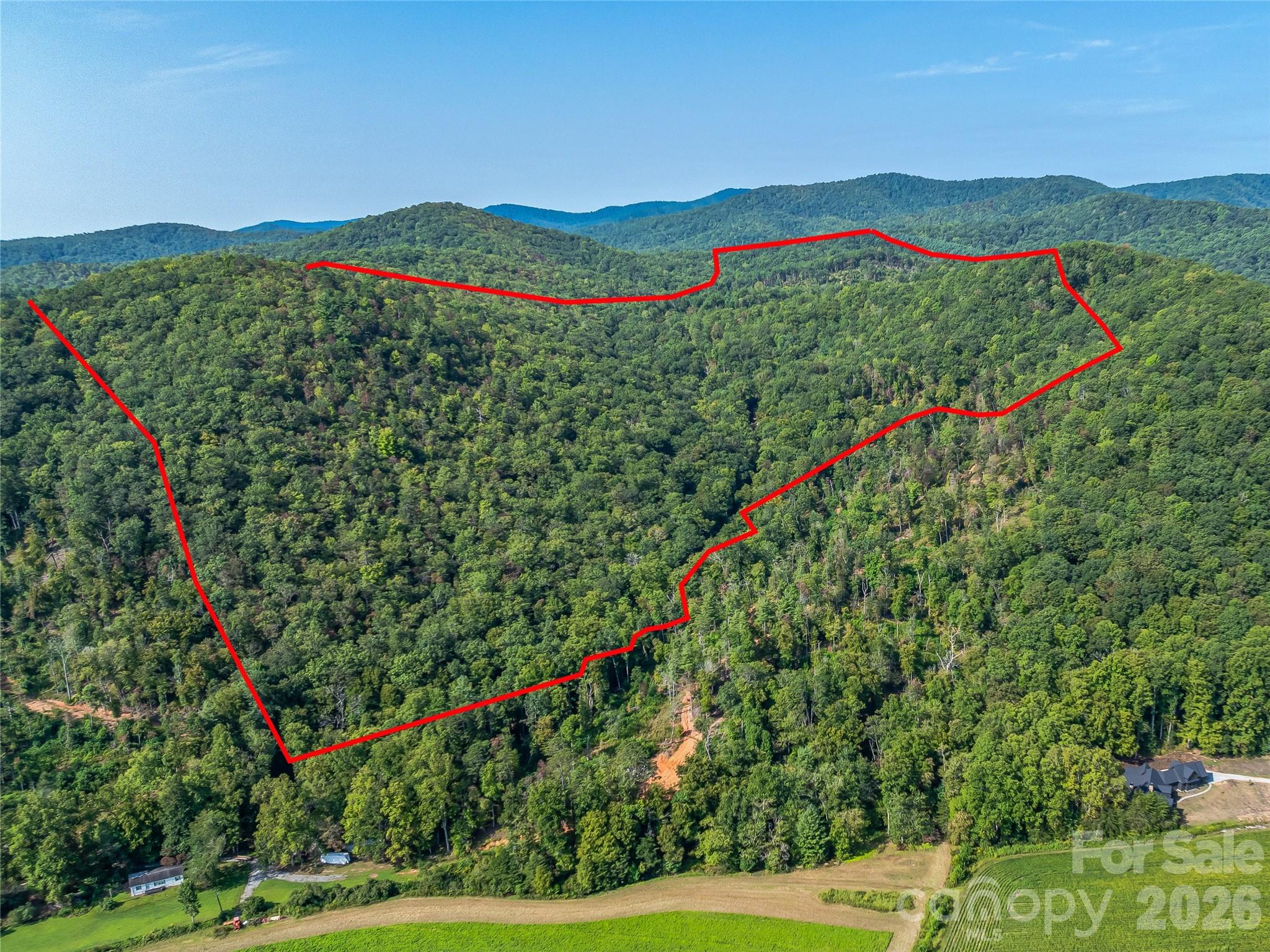 Acreage at 567 Davey Branch Road, Horse Shoe, photo 32 of 44