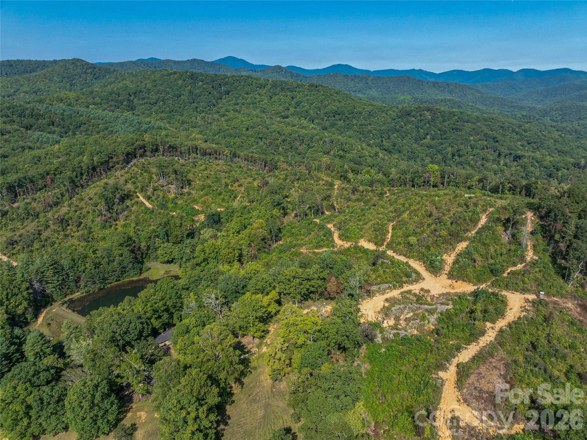 Acreage at 567 Davey Branch Road, Horse Shoe, photo 33 of 44