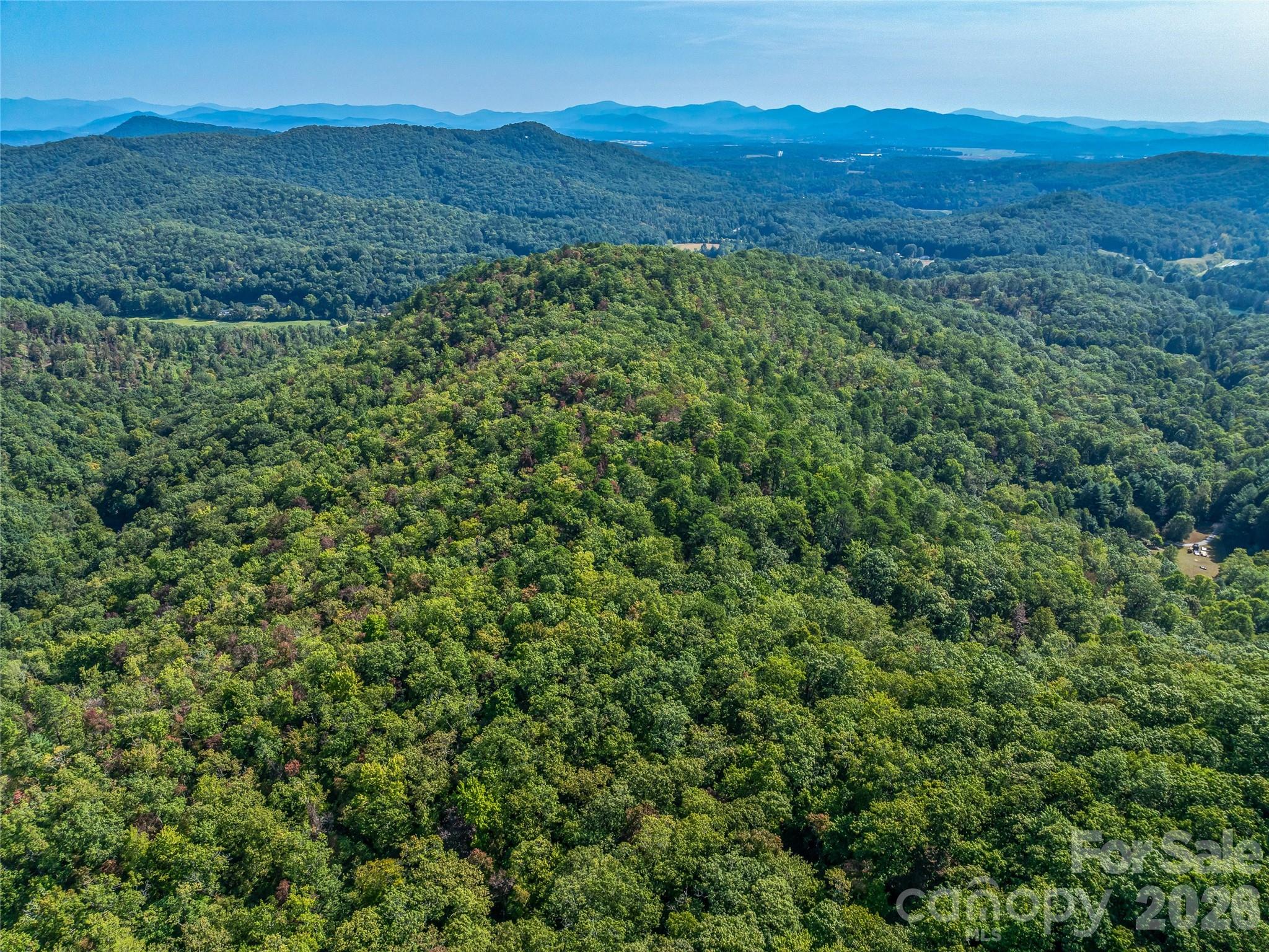Acreage at 567 Davey Branch Road, Horse Shoe, photo 34 of 44