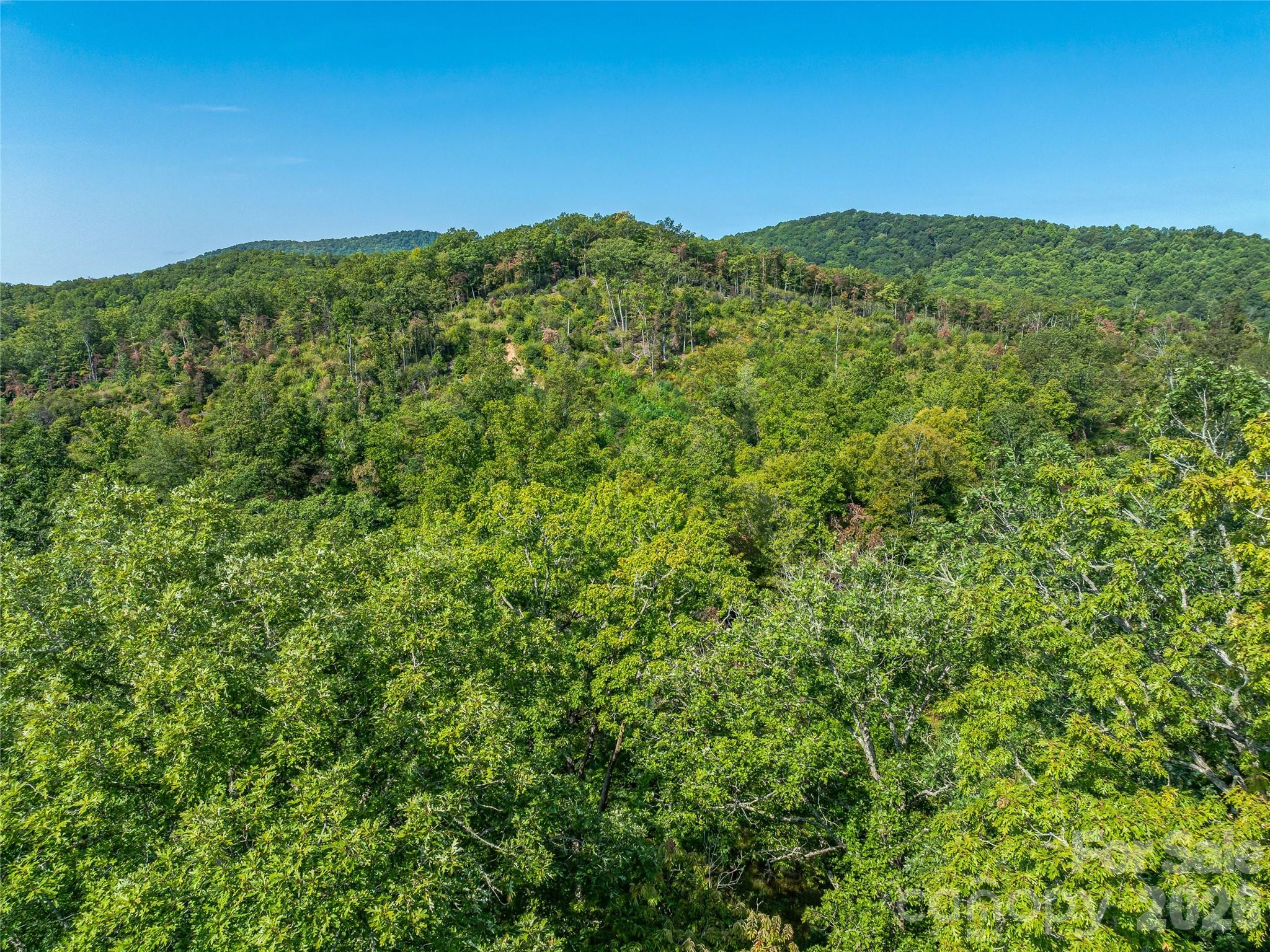 Acreage at 567 Davey Branch Road, Horse Shoe, photo 35 of 44