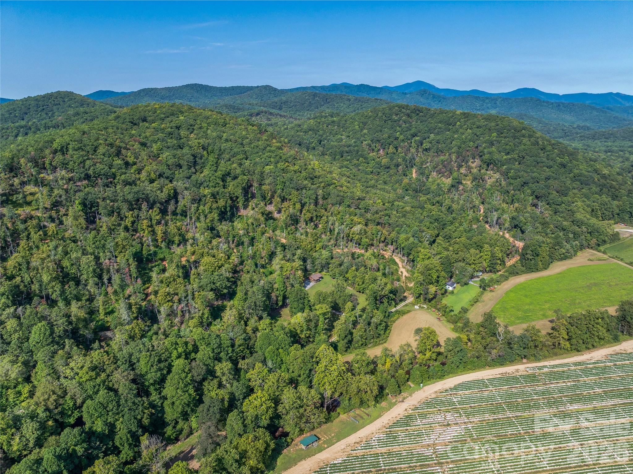 Acreage at 567 Davey Branch Road, Horse Shoe, photo 36 of 44