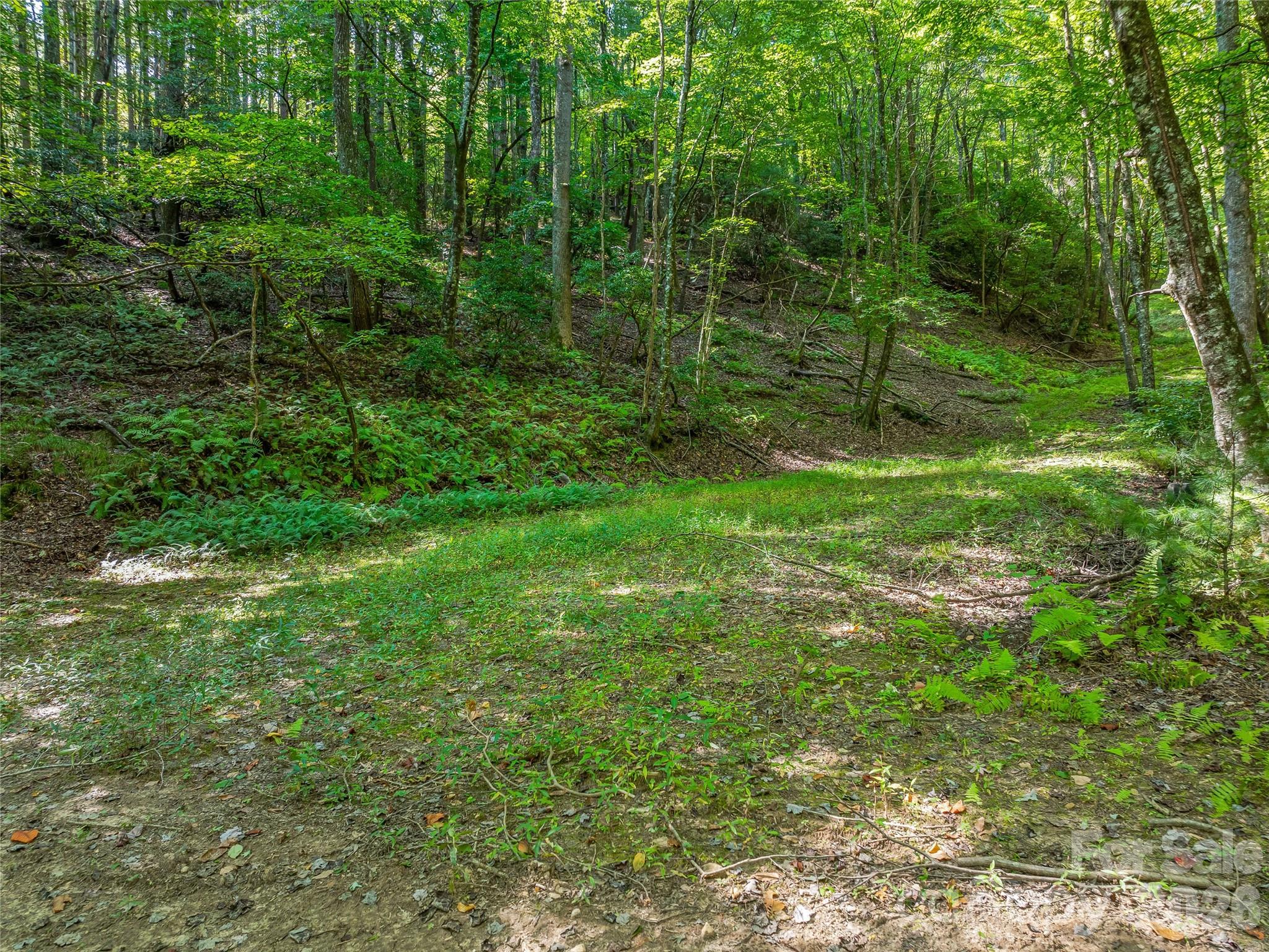 Acreage at 567 Davey Branch Road, Horse Shoe, photo 37 of 44