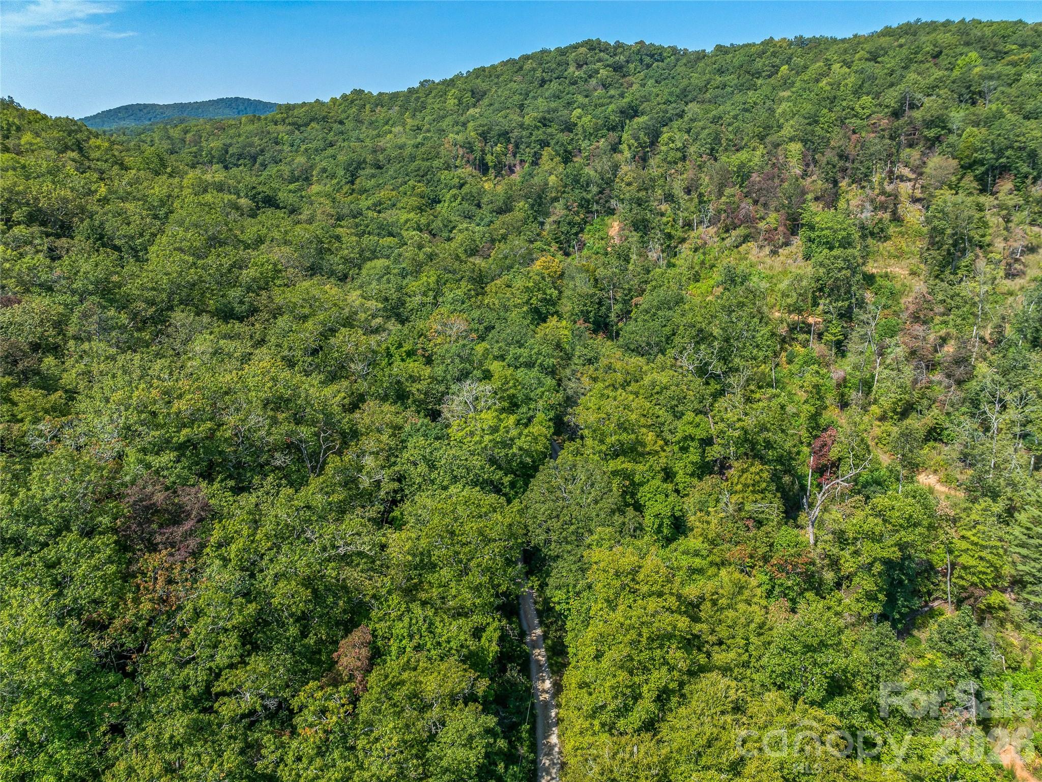 Acreage at 567 Davey Branch Road, Horse Shoe, photo 38 of 44