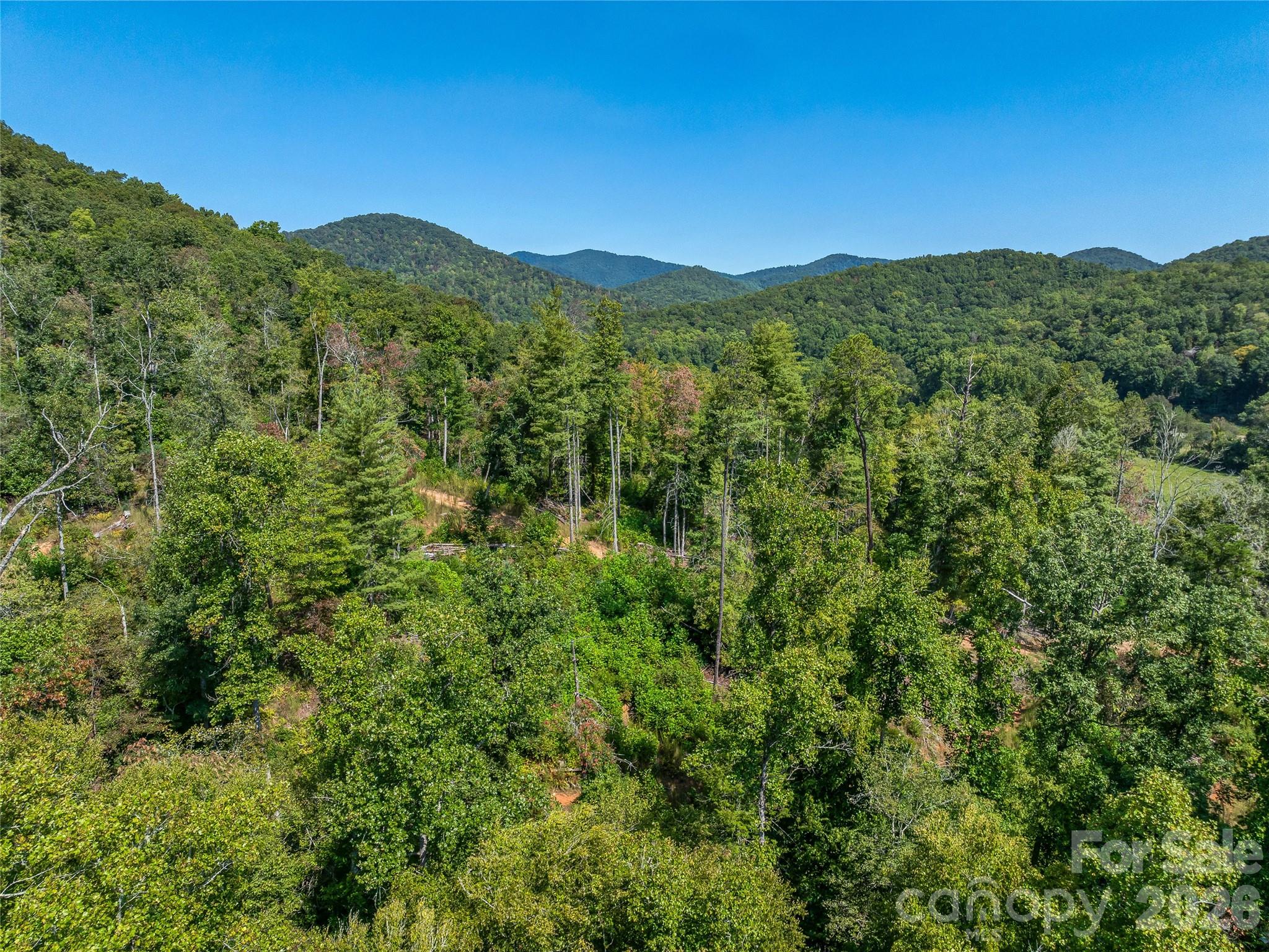 Acreage at 567 Davey Branch Road, Horse Shoe, photo 39 of 44