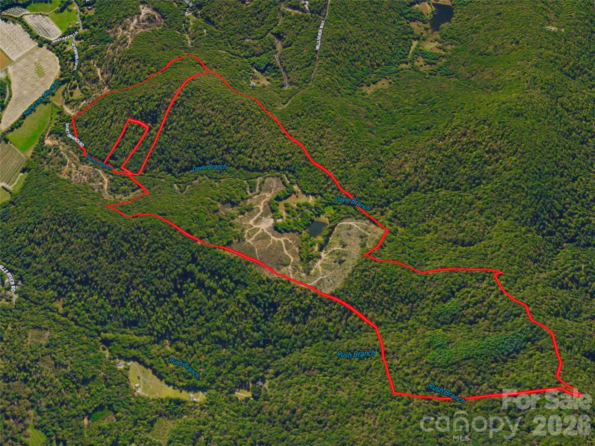 Acreage at 567 Davey Branch Road, Horse Shoe, photo 40 of 44