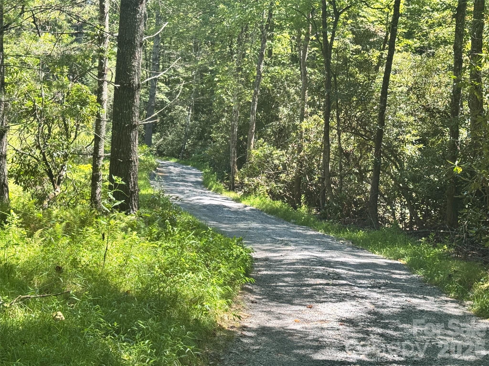 Acreage at 567 Davey Branch Road, Horse Shoe, photo 11 of 44